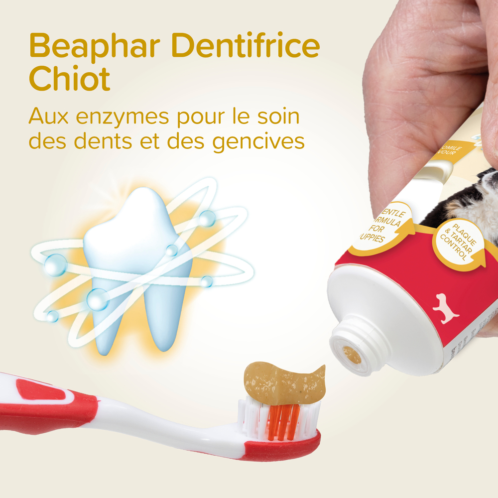 COMBI-PACK dentaire Chiot : dentifrice + 2 brosses à dents