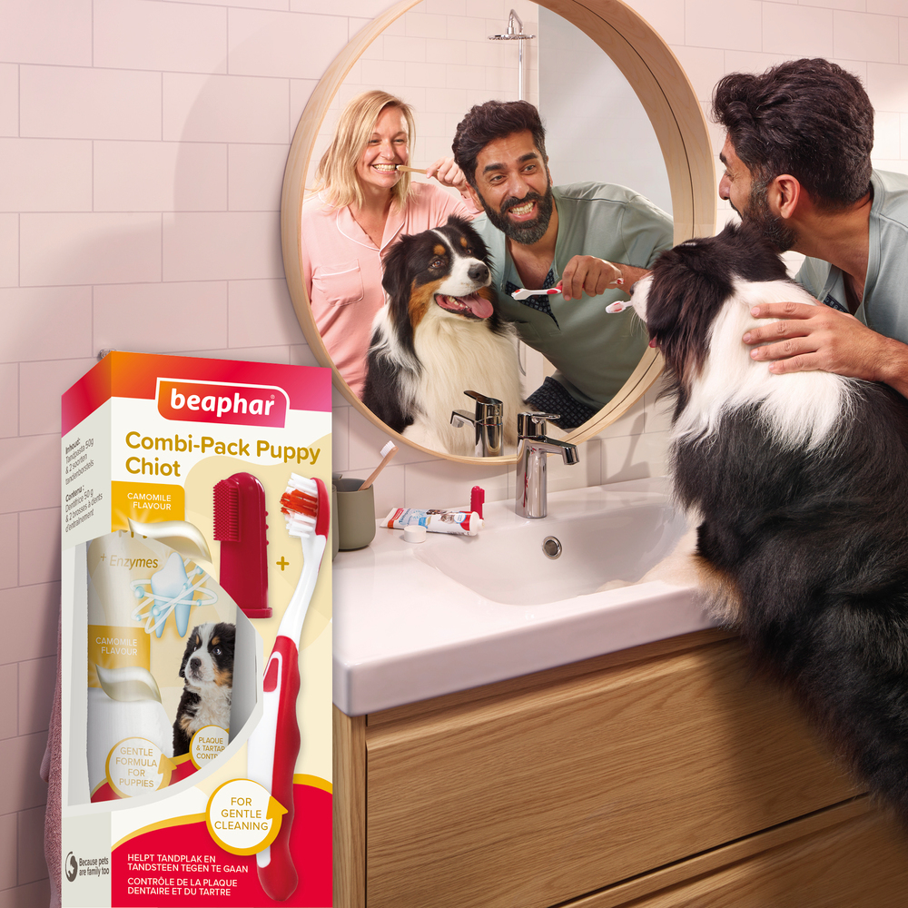 COMBI-PACK dentaire Chiot : dentifrice + 2 brosses à dents