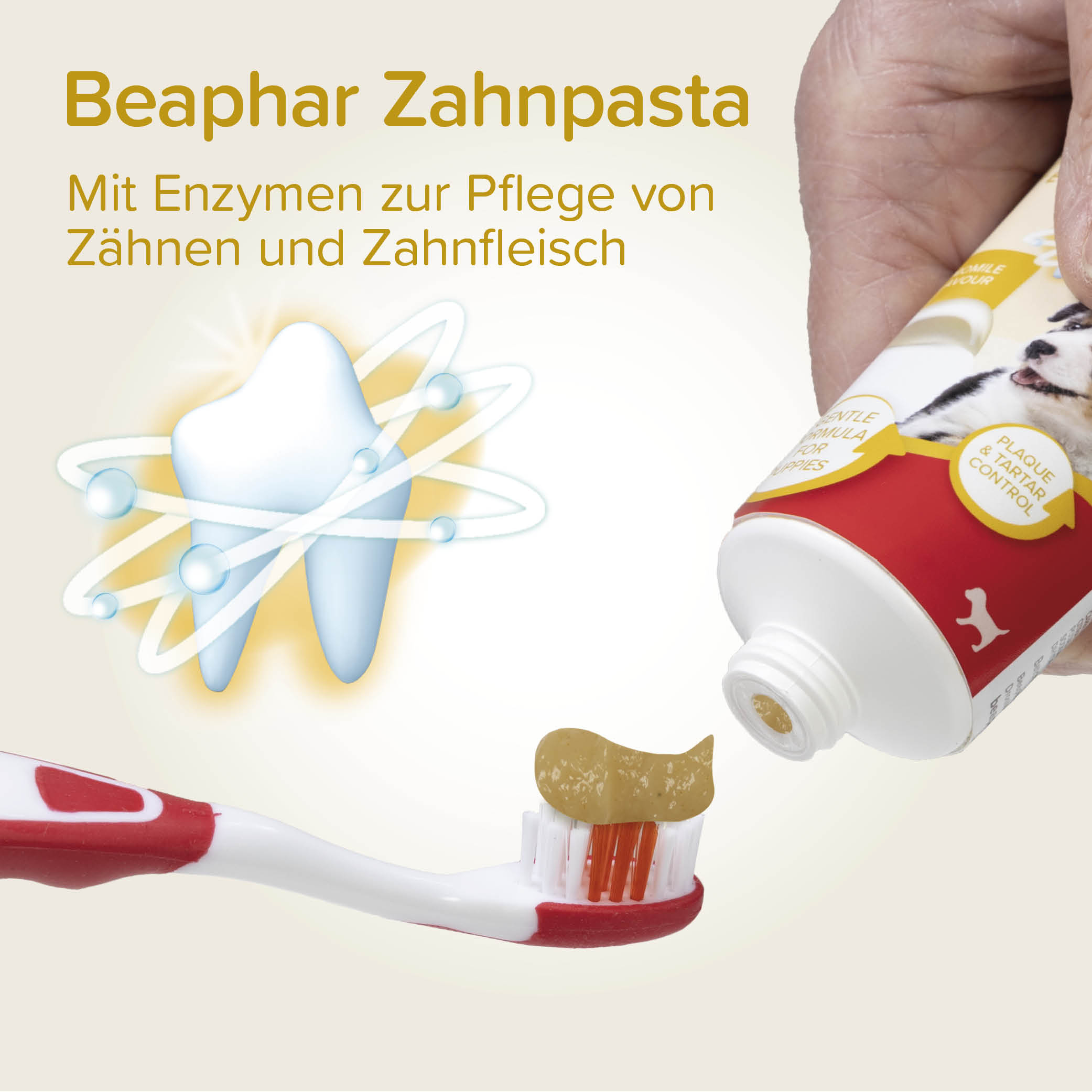 Beaphar Zahnpflege Set für Welpen