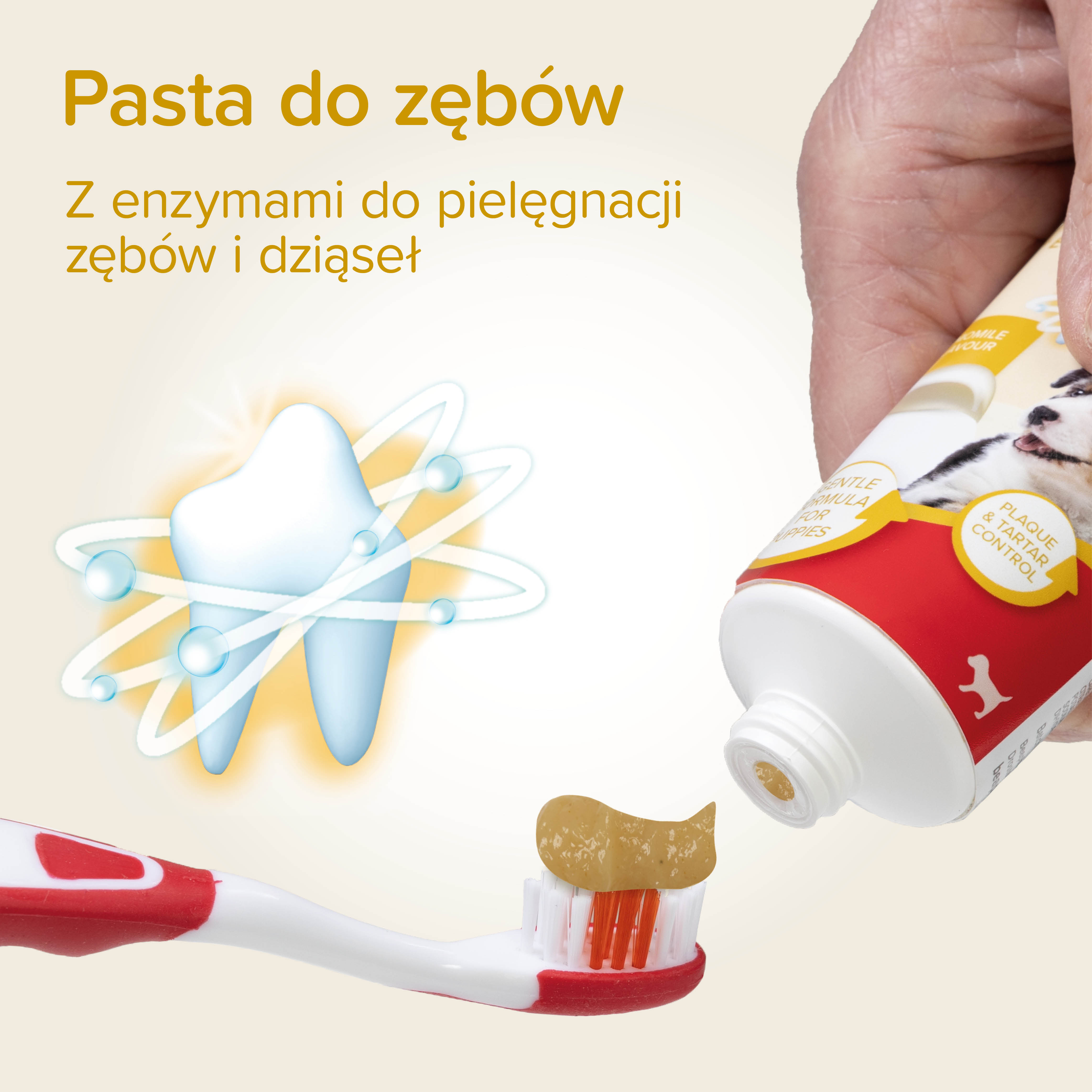 PUPPY DENTAL KIT - zestaw: pasta do zębów 50g + szczoteczka dla szczeniąt +szczoteczka naparstkowa