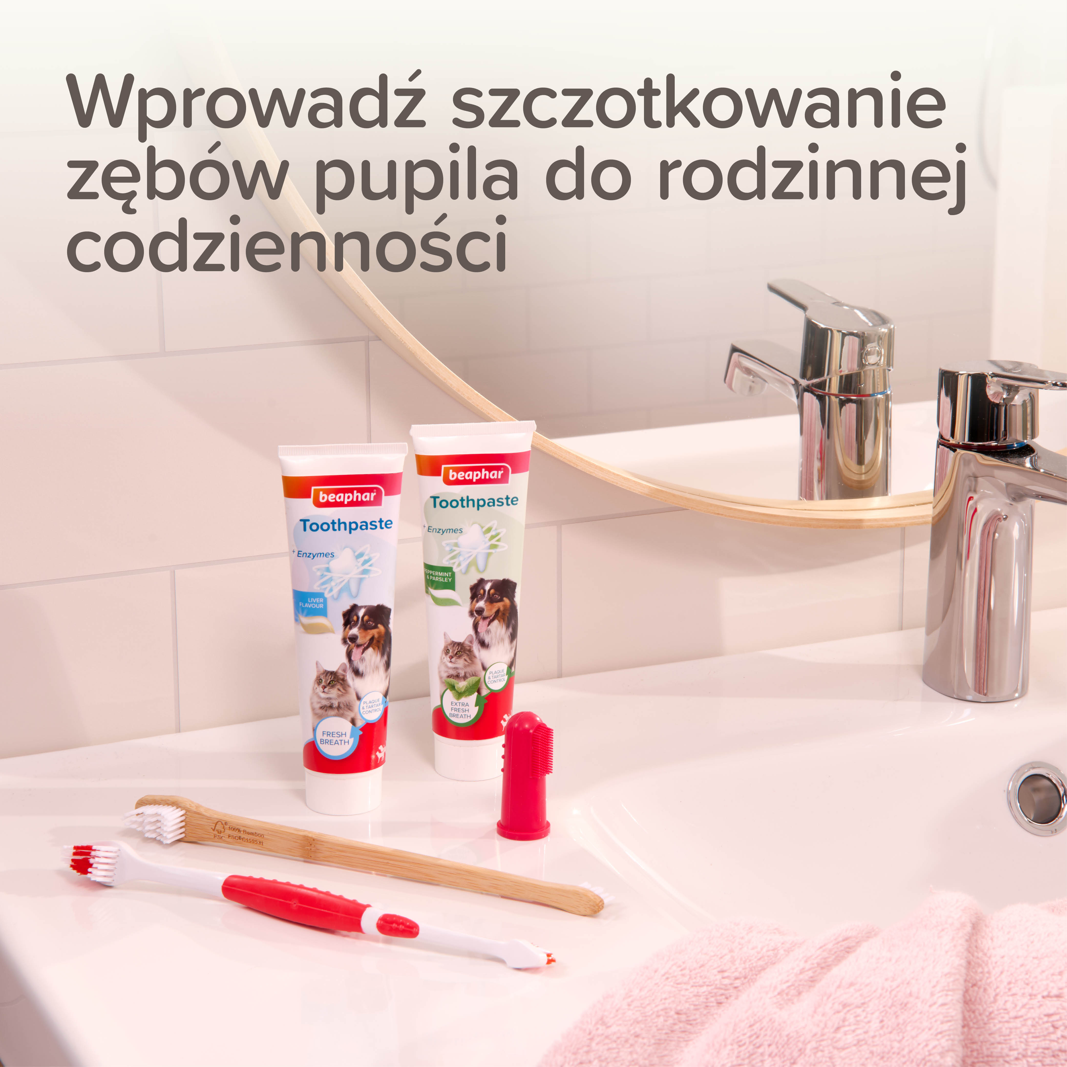 TOOTHBRUSH - szczoteczka do zębów dwugłowicowa