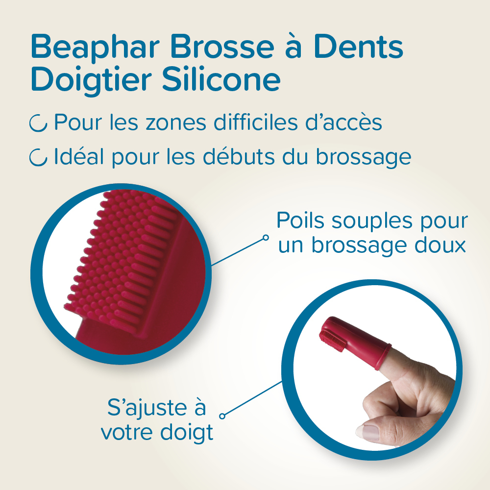 Brosse à dents doigtier pour chien et chat – 2 unités