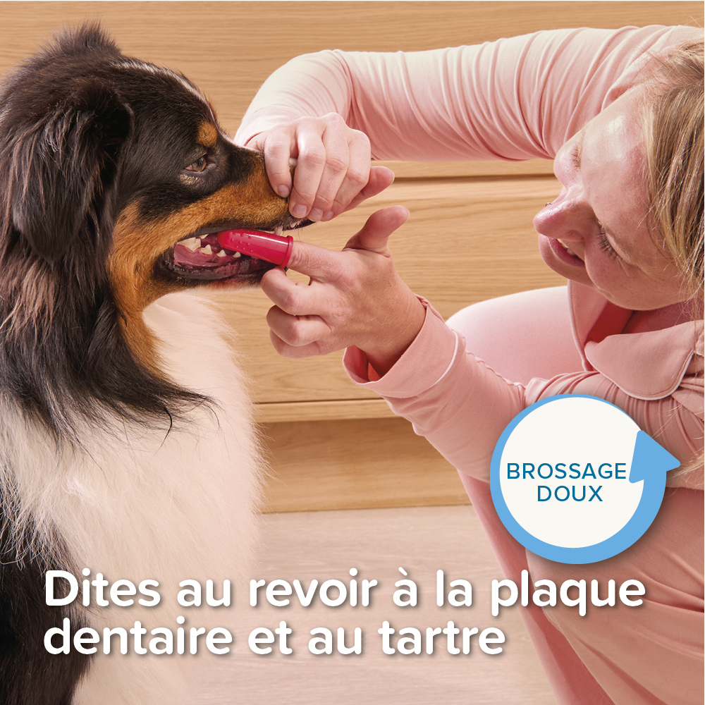Brosse à dents doigtier pour chien et chat – 2 unités
