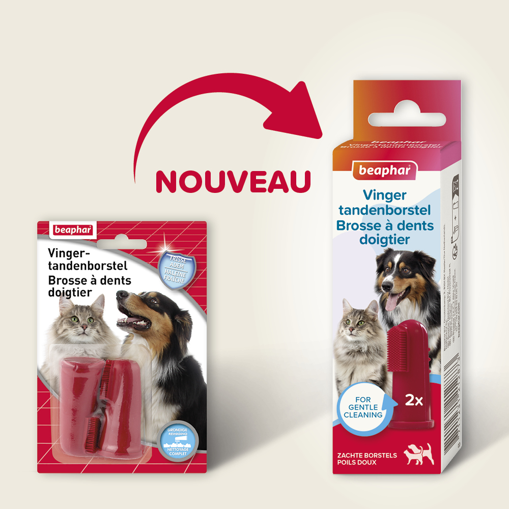 Brosse à dents doigtier pour chien et chat – 2 unités