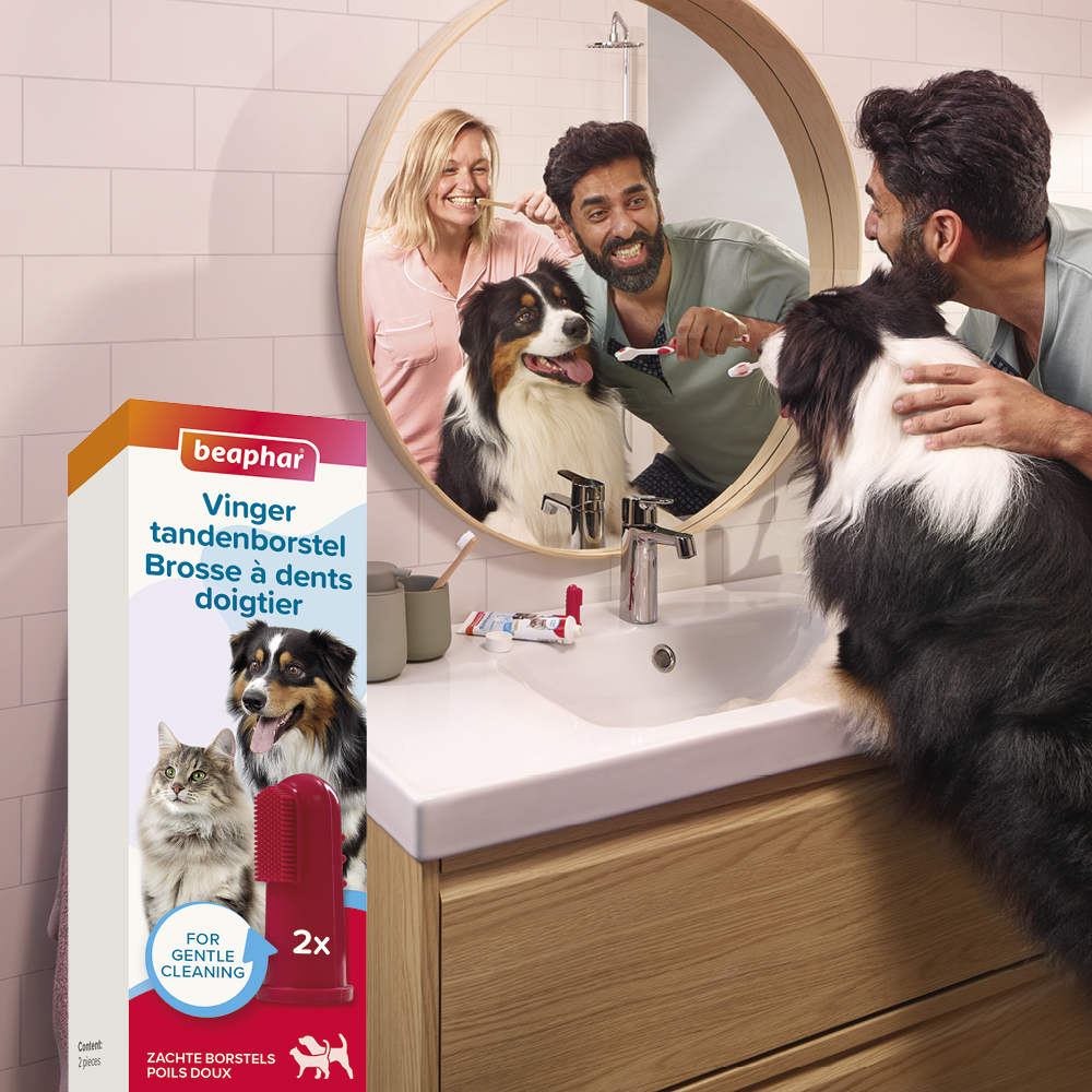 Beaphar Vingertandenborstel 2 stuks