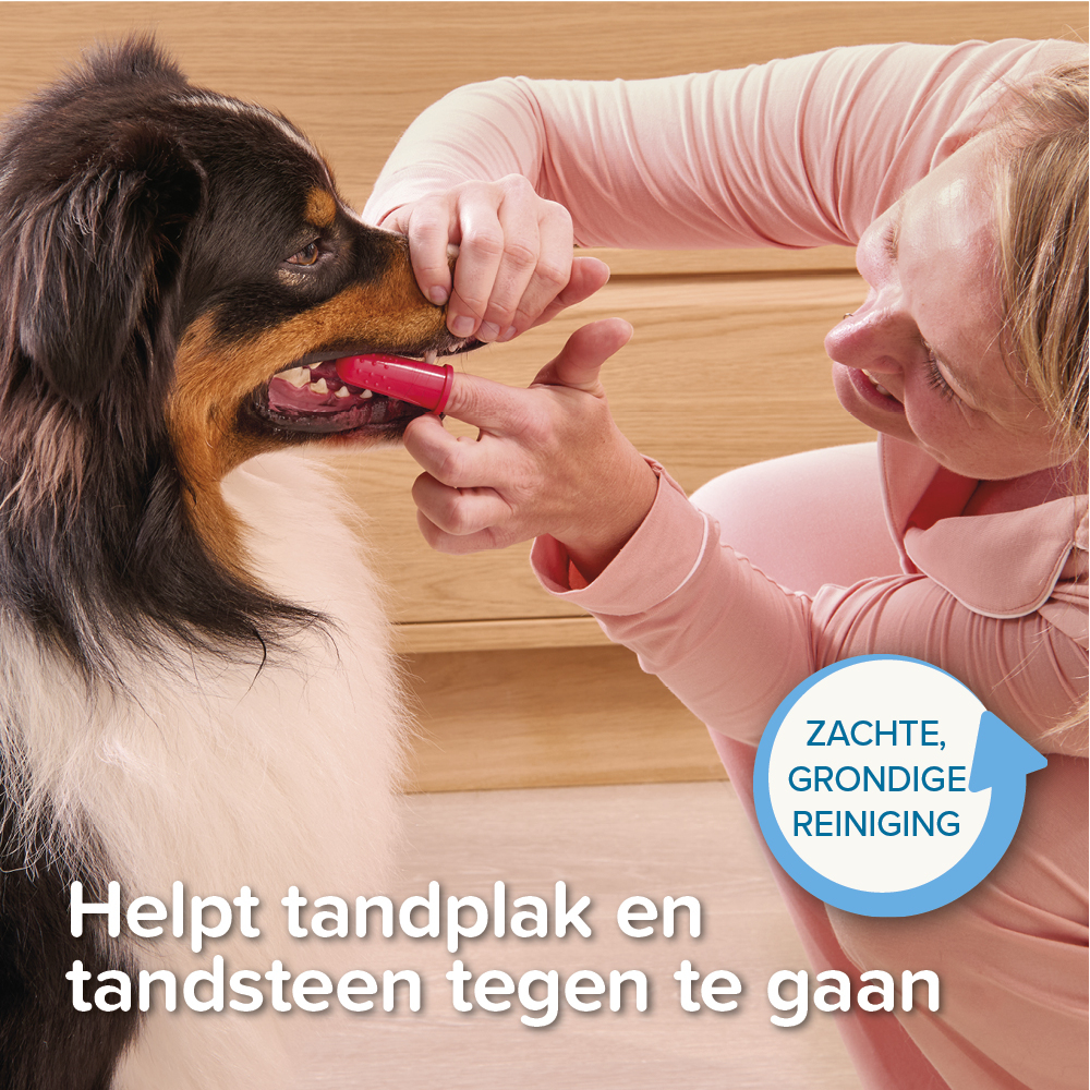 Beaphar Vingertandenborstel 2 stuks