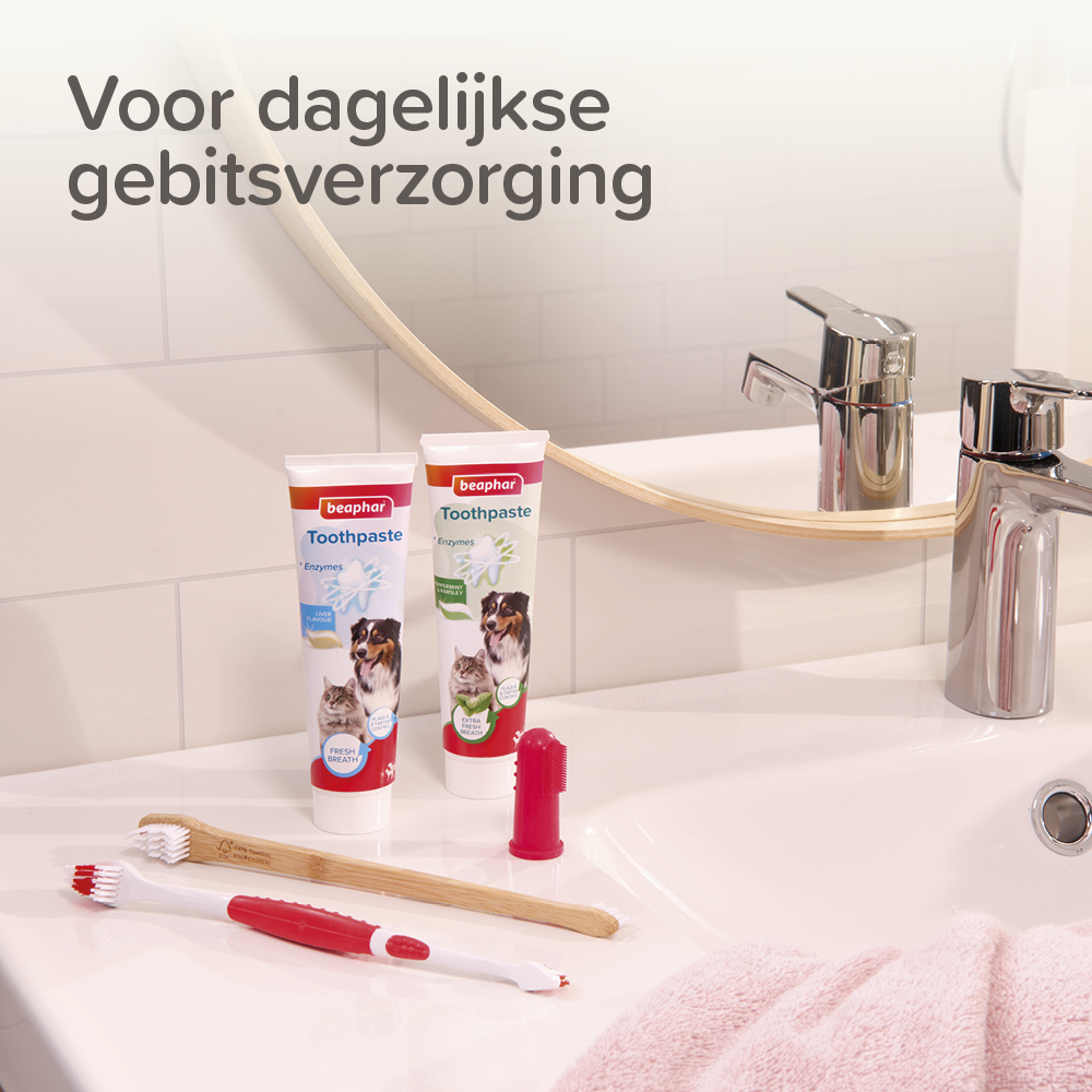 Beaphar Vingertandenborstel 2 stuks