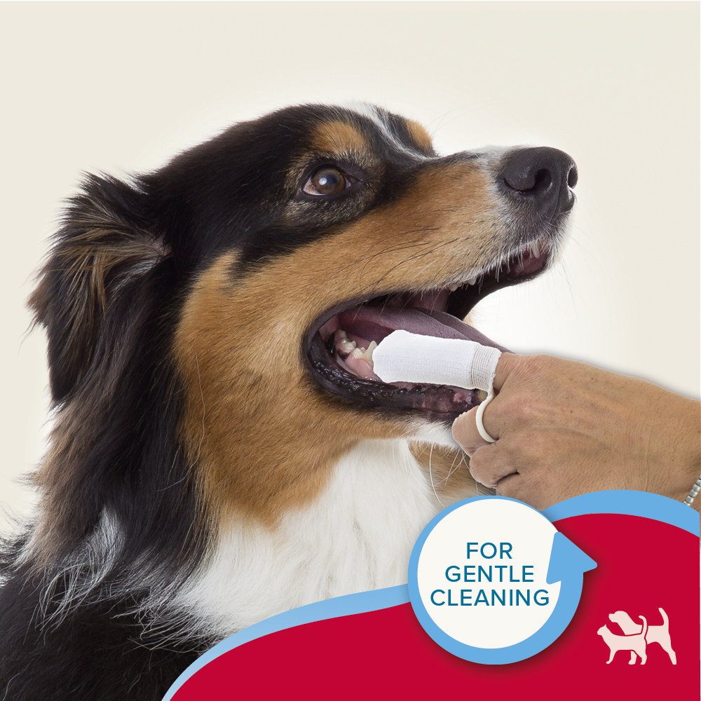 Beaphar Fingerpad Dental Dog & Cat