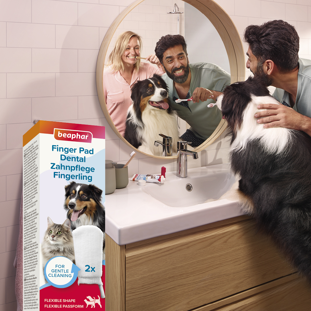 Beaphar Fingerpad Dental Dog & Cat