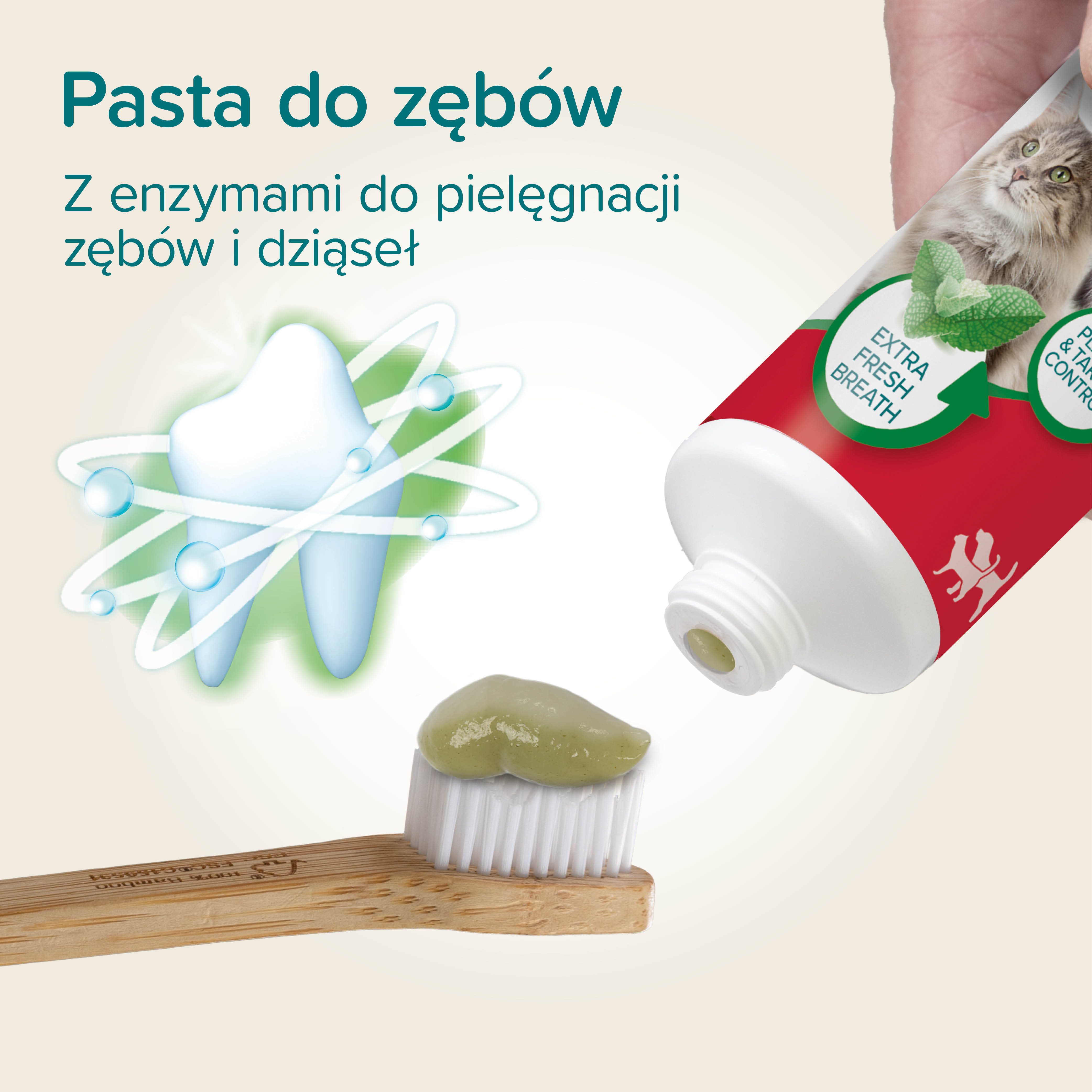 TOOTHPASTE MINT & PARSLEY - pasta do zębów - mięta/ pietruszka dla kotów i psów 100g