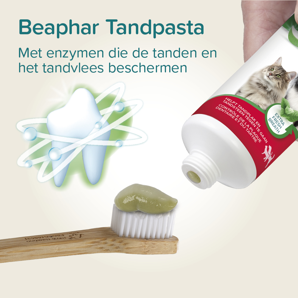 Tandpasta pepermunt & peterselie 100g