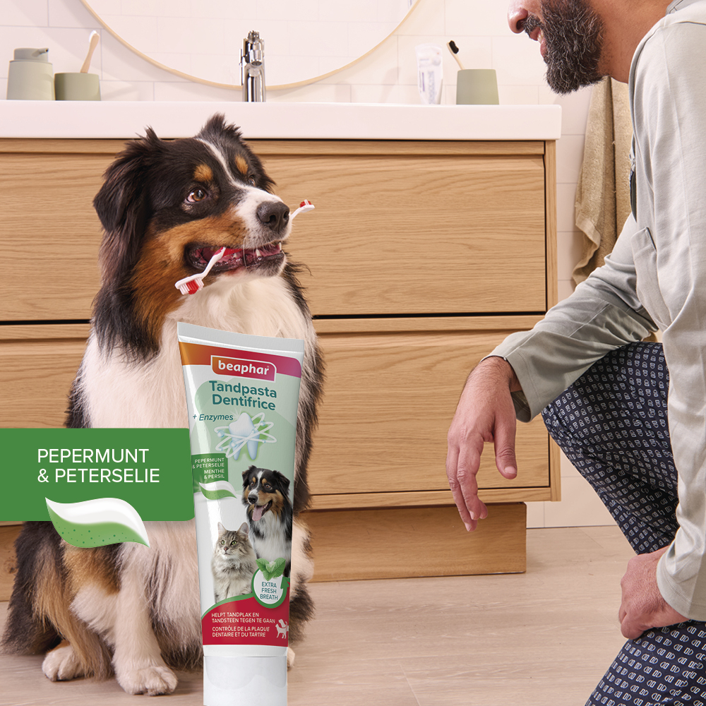 Tandpasta pepermunt & peterselie 100g