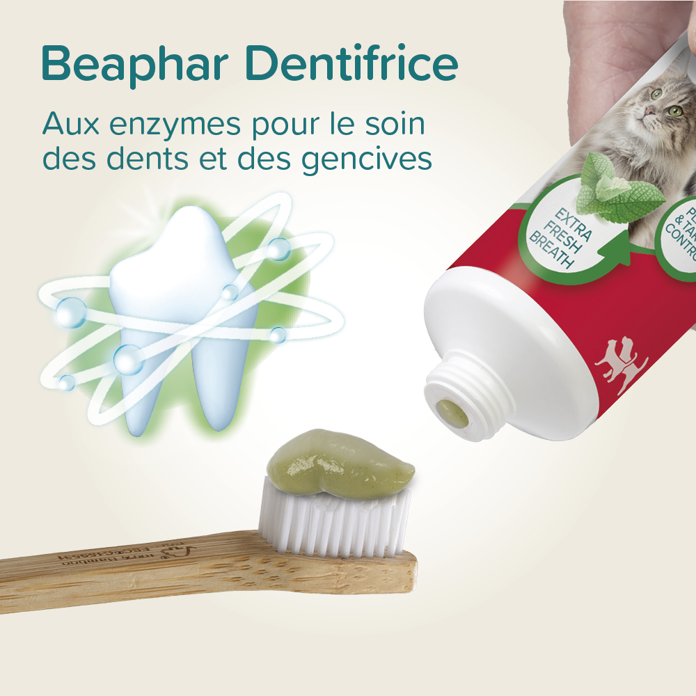Dentifrice Menthe & Persil – 100 g