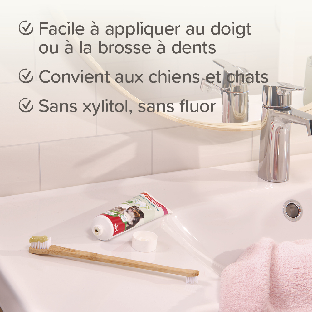 Dentifrice Menthe & Persil – 100 g