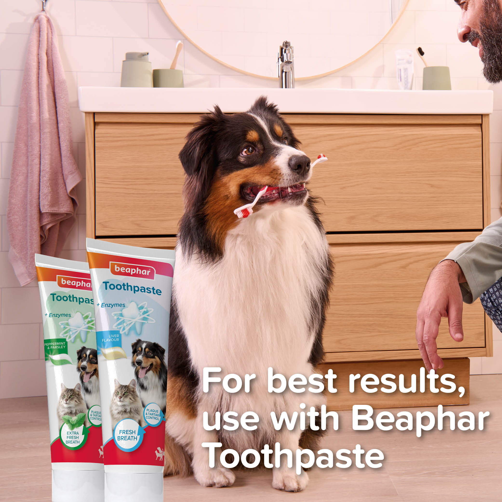 Beaphar Doubled-Ended Bamboo Toothbrush for Cats and Dogs