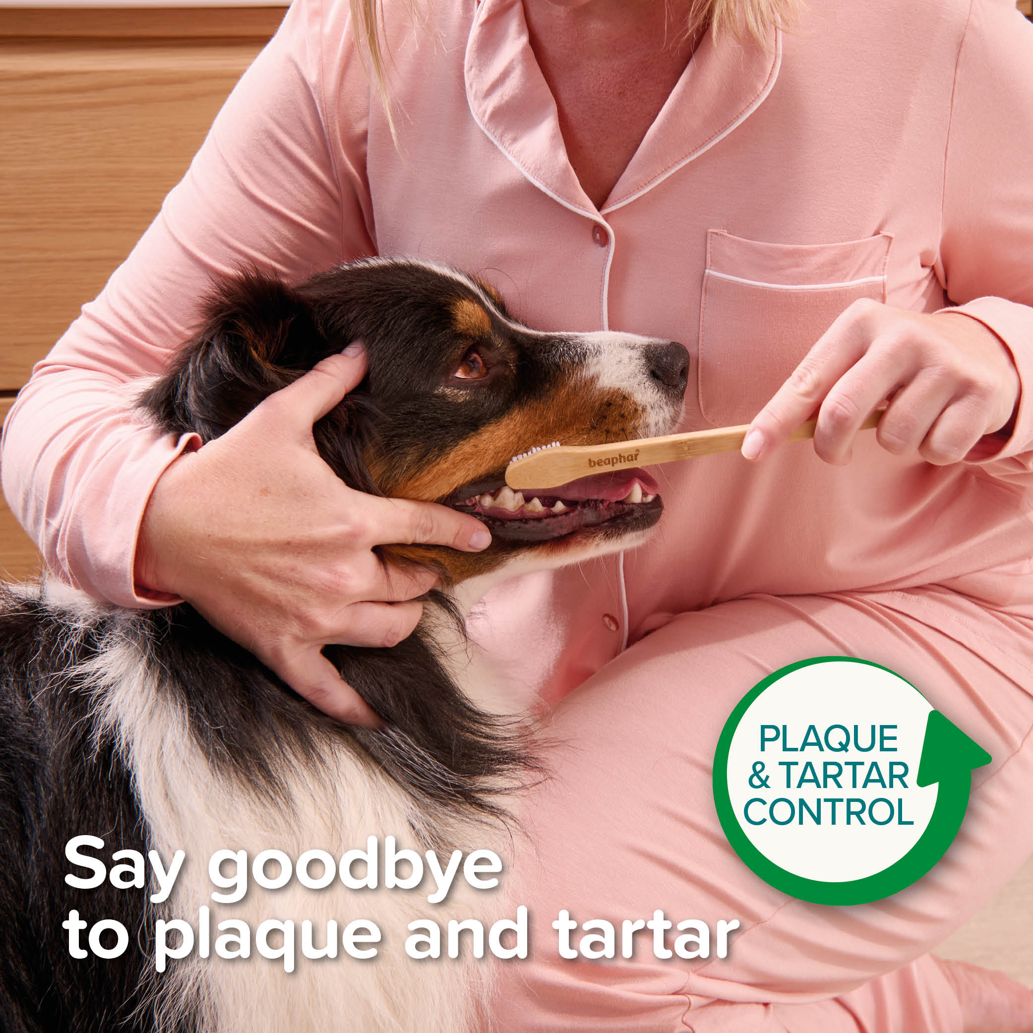 Beaphar Doubled-Ended Bamboo Toothbrush for Cats and Dogs