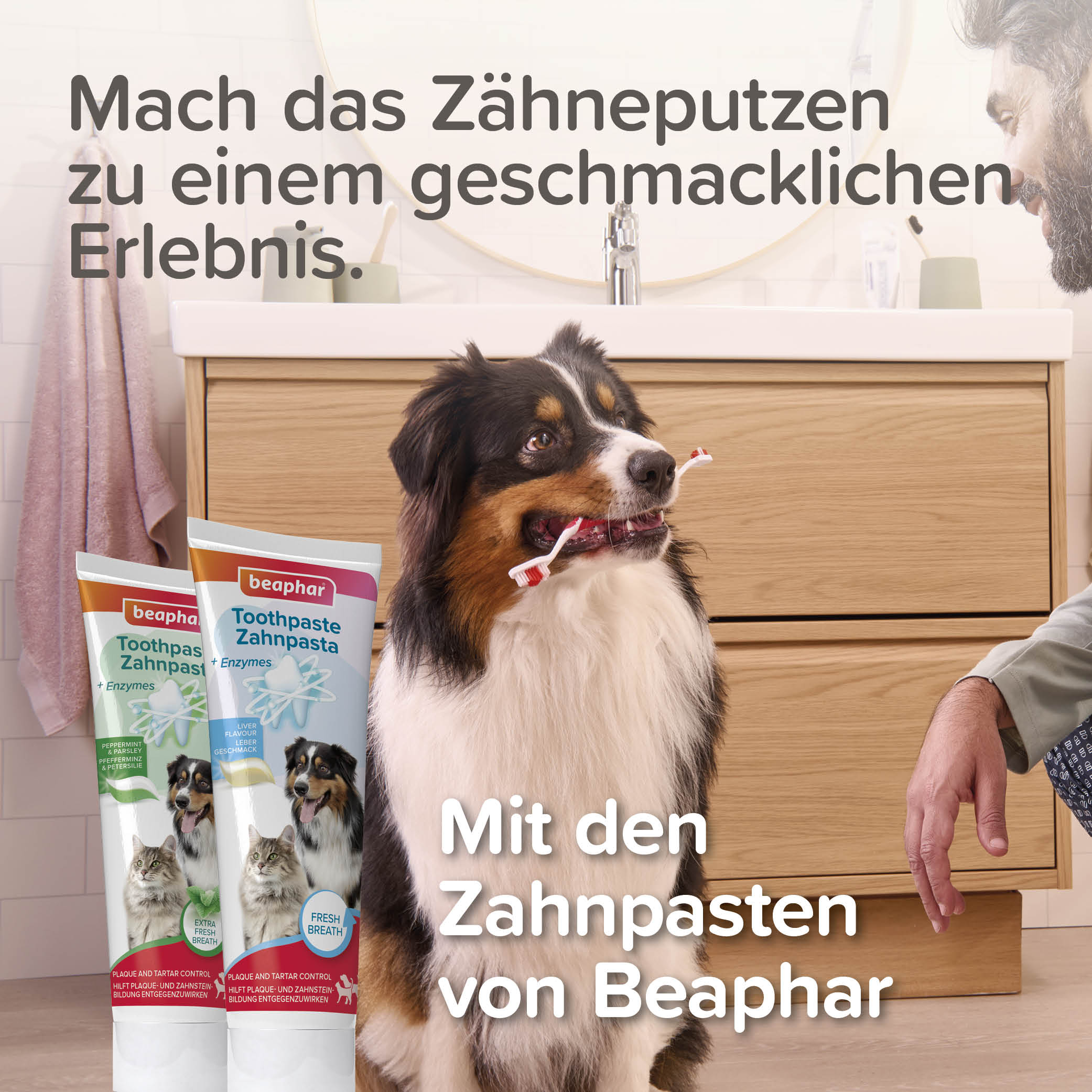 Beaphar Bambus Zahnbürste