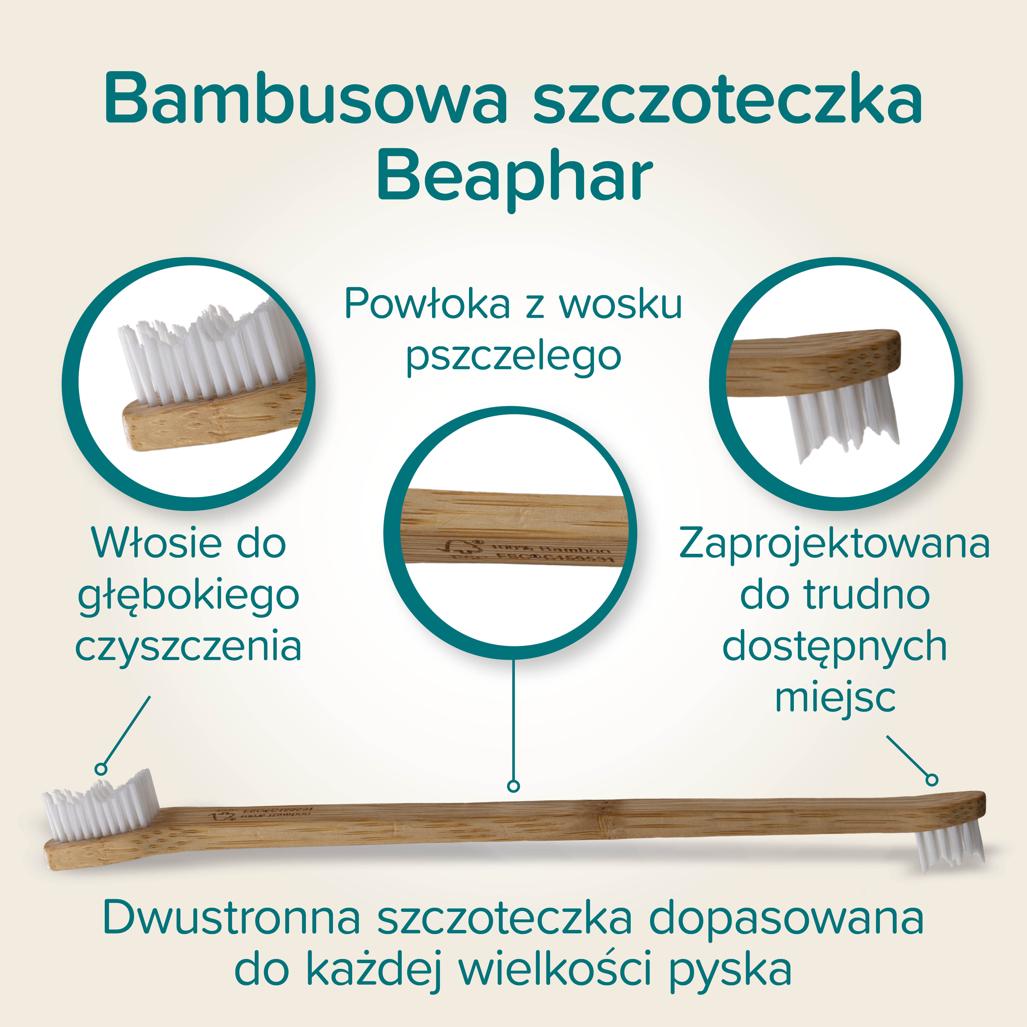 BAMBOO TOOTHBRUSH - dwugłowicowa bambusowa szczoteczka do zębów dla kotów i psów