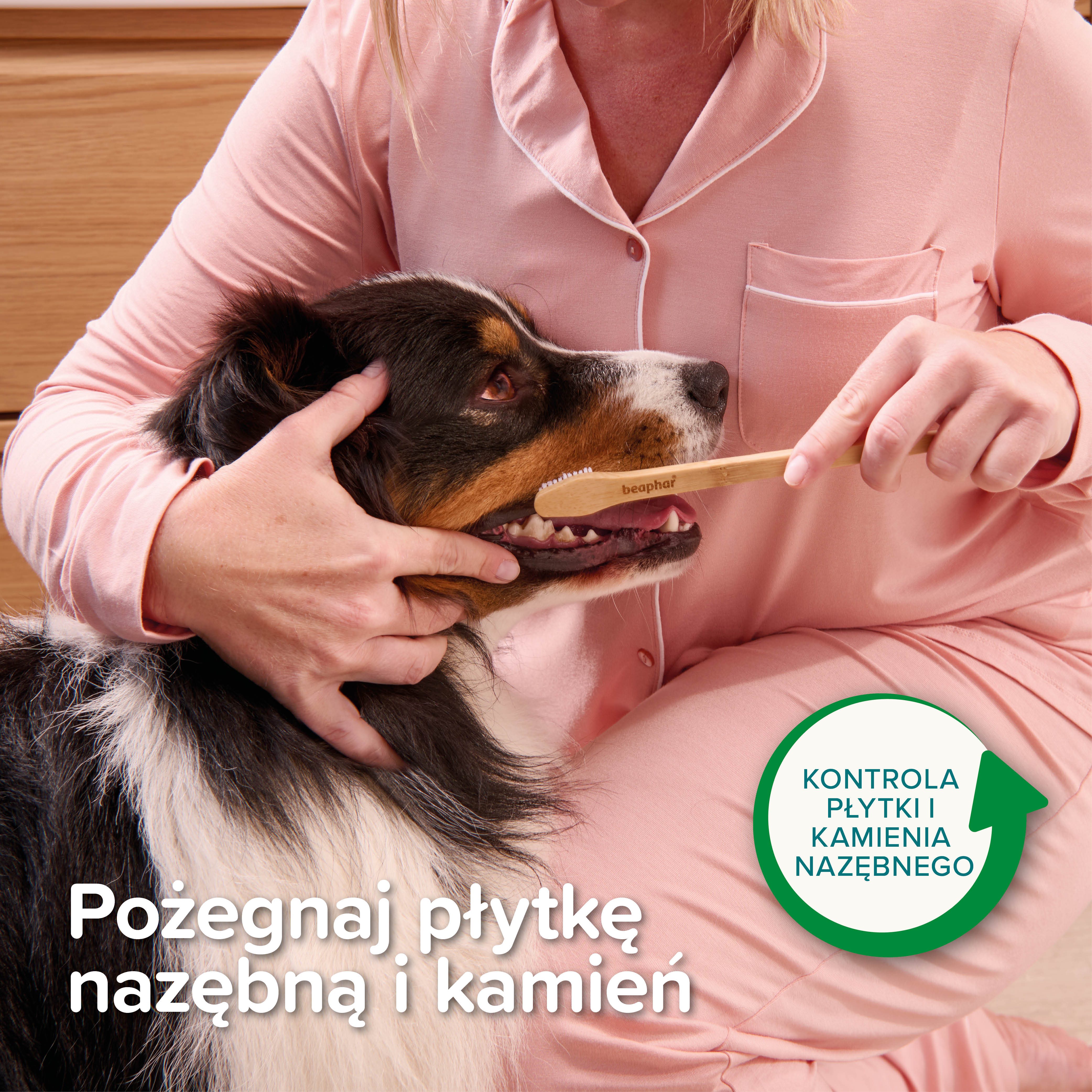 BAMBOO TOOTHBRUSH - dwugłowicowa bambusowa szczoteczka do zębów dla kotów i psów