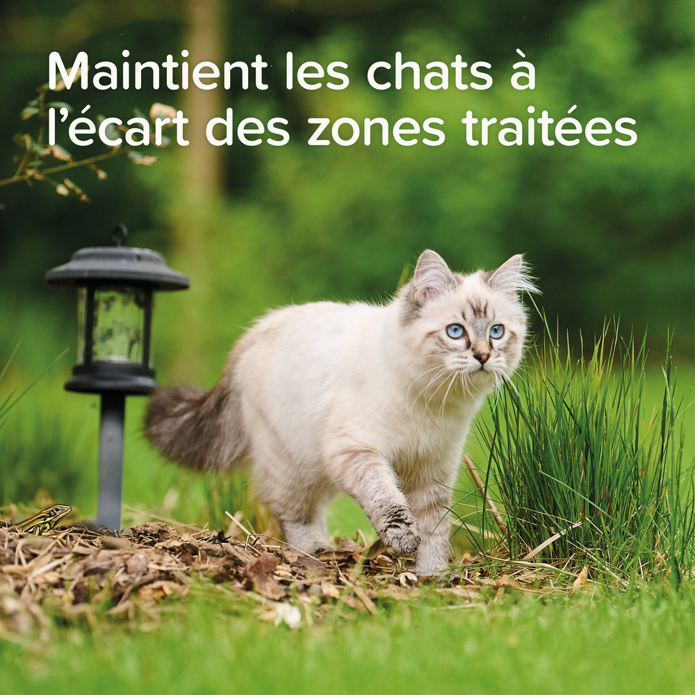KEEP OFF Spray répulsif OUTDOOR pour chats - 500 ml