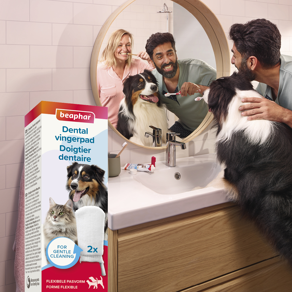 Dental Vingerpad 2st