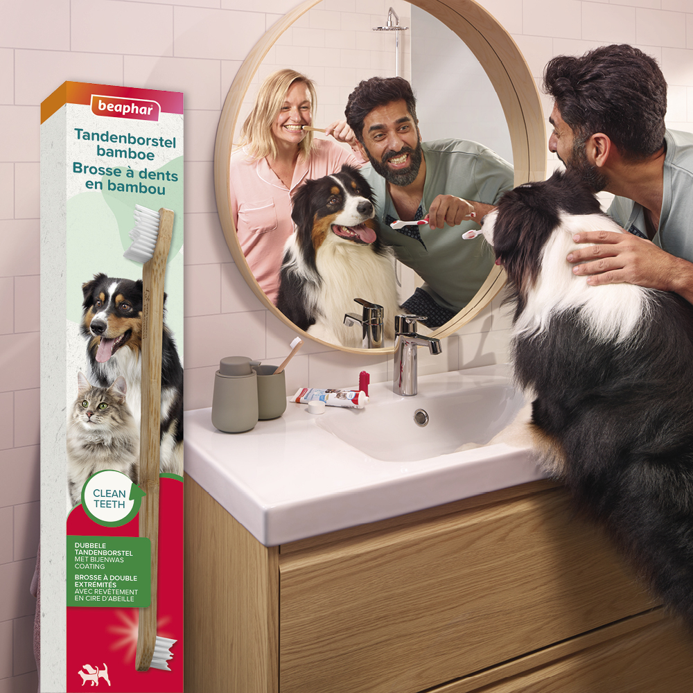 Tandenborstel bamboe