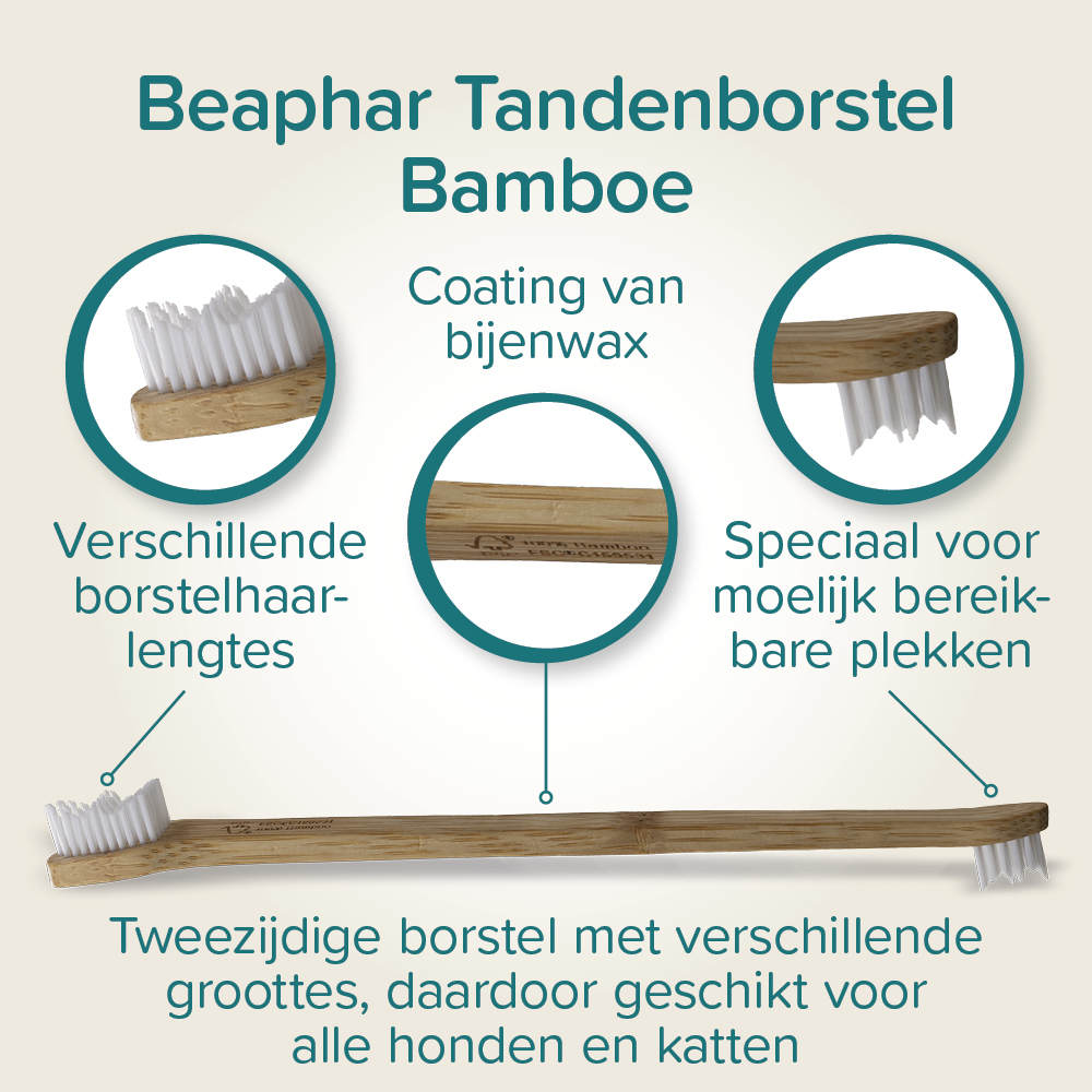 Tandenborstel bamboe