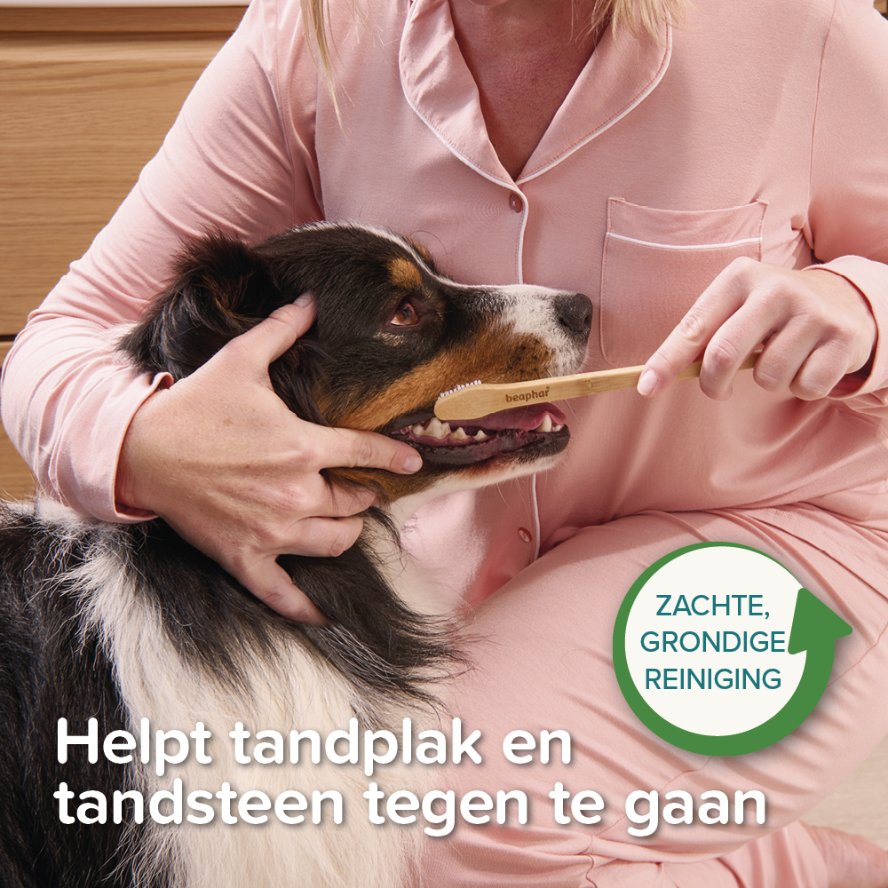 Tandenborstel bamboe