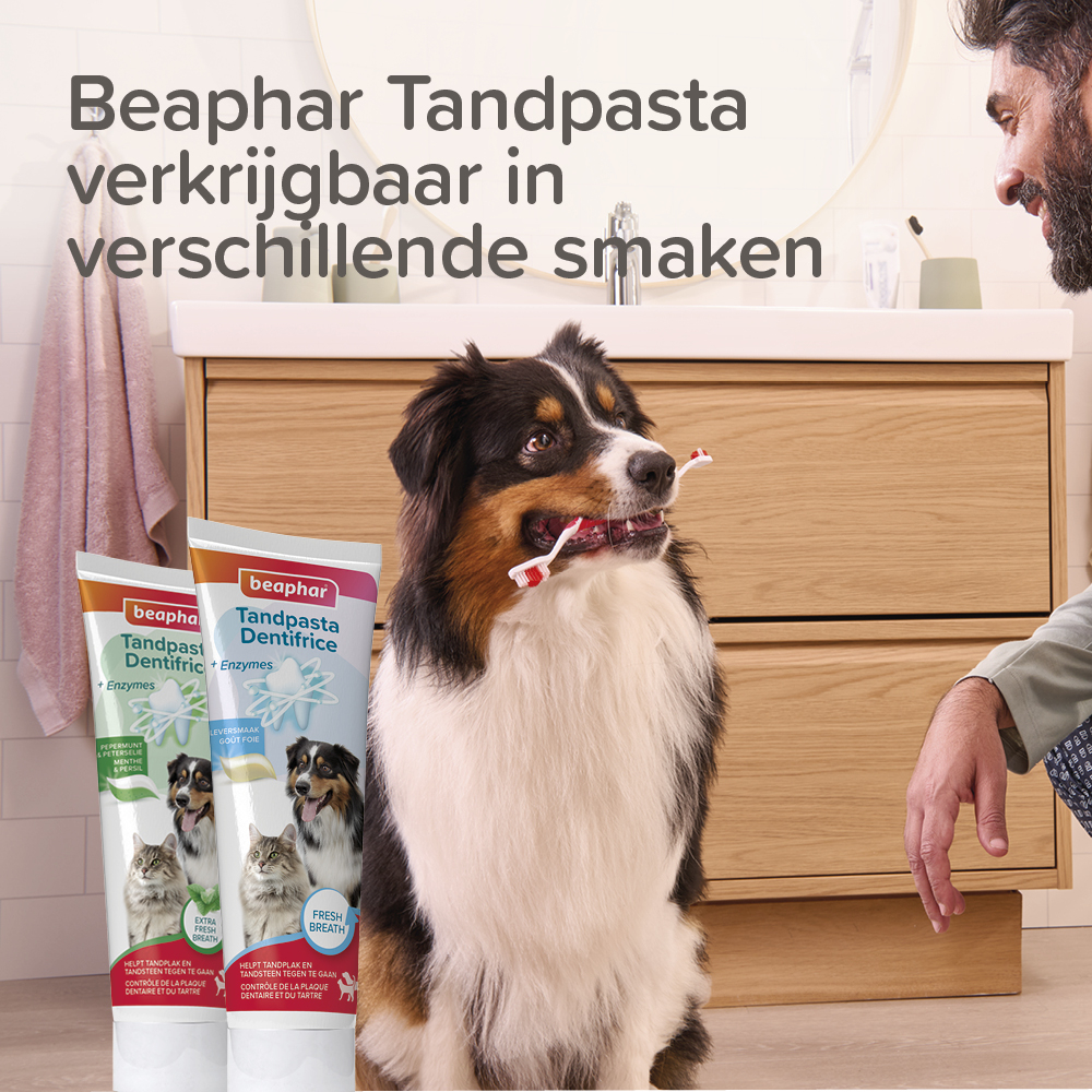 Tandenborstel bamboe