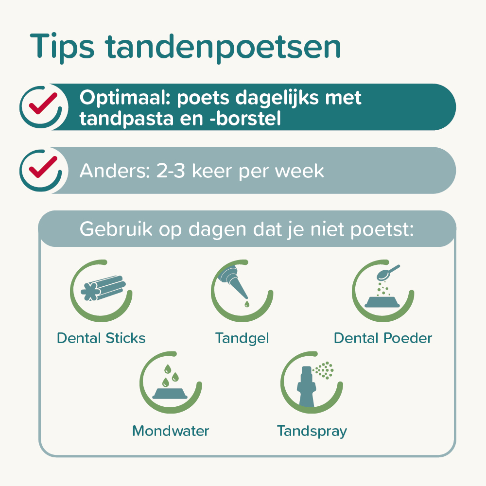 Tandenborstel bamboe