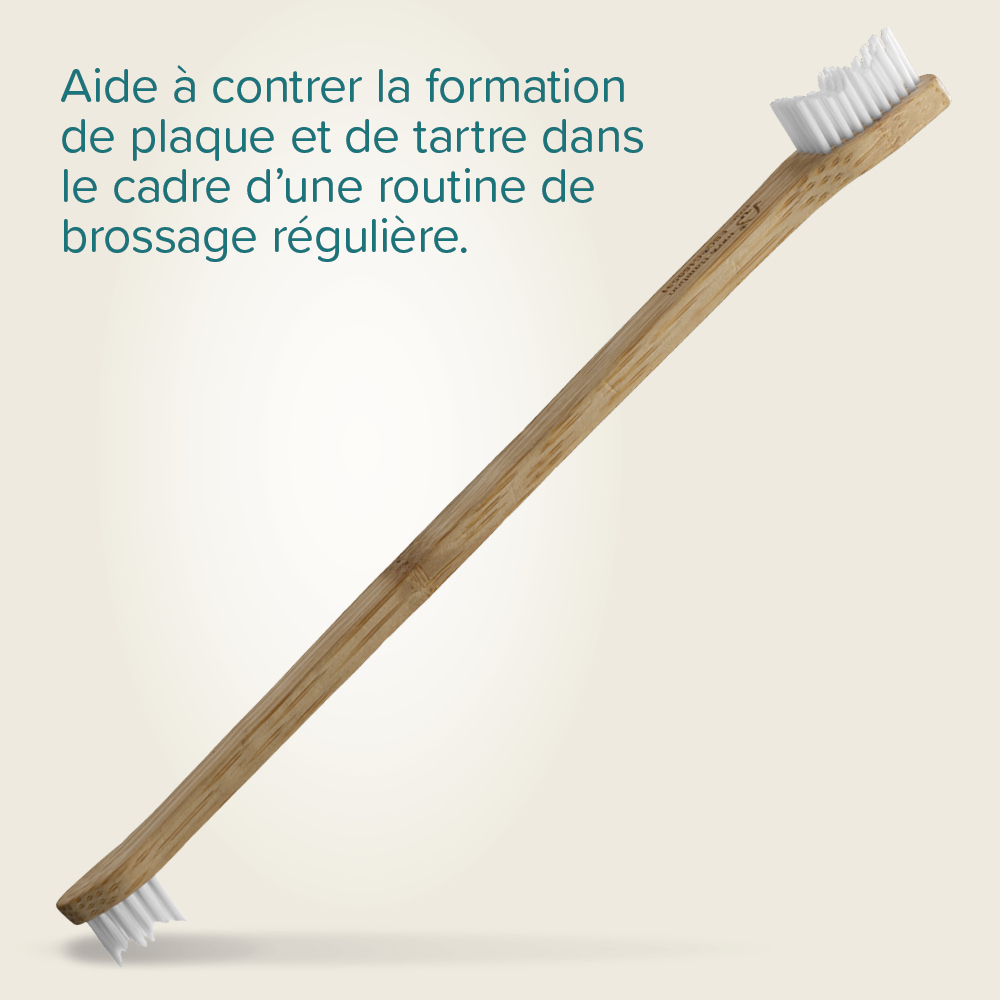 Brosse à dents en bambou