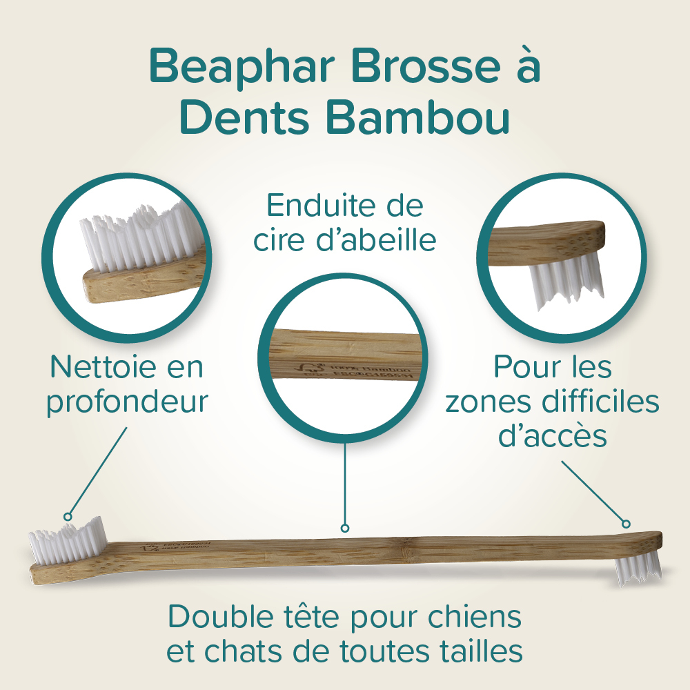 Brosse à dents en bambou