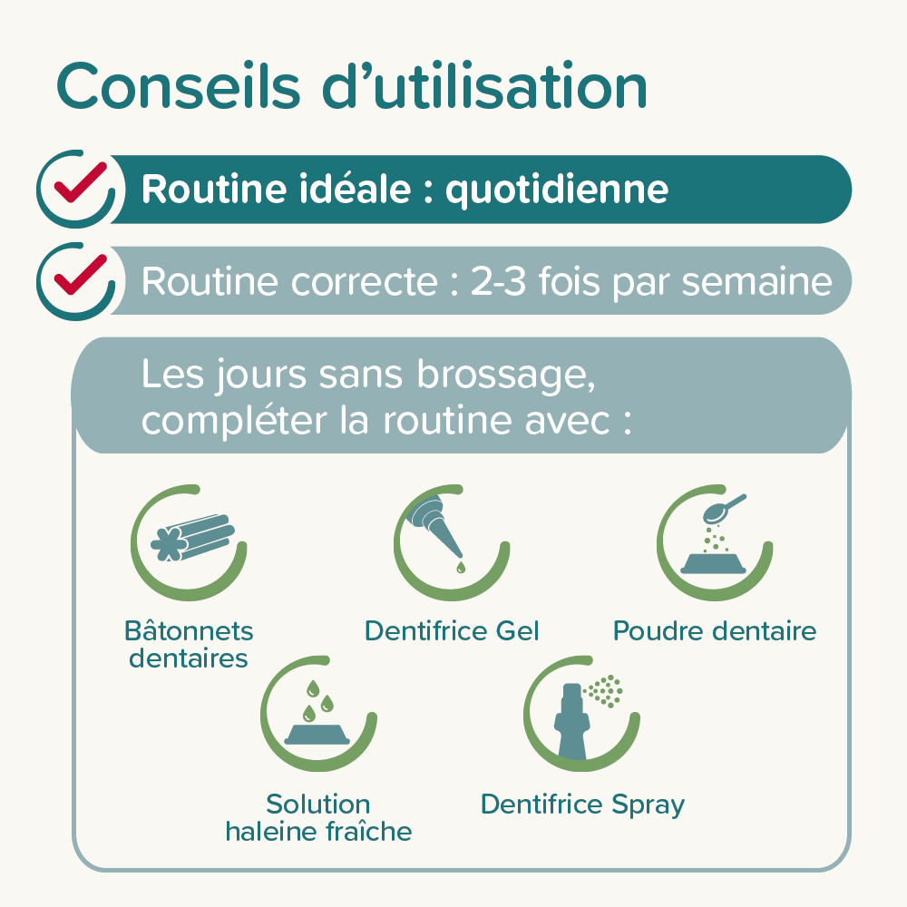 Brosse à dents en bambou