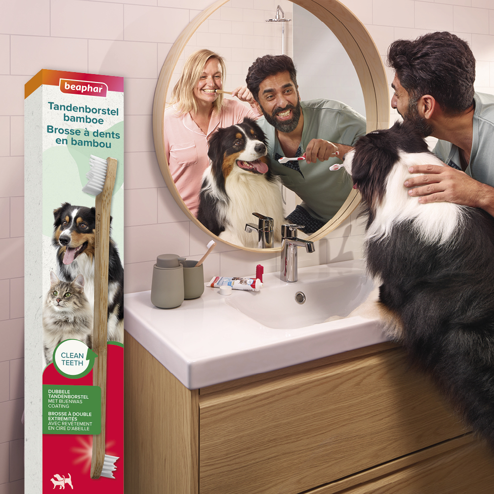 Brosse à dents en bambou