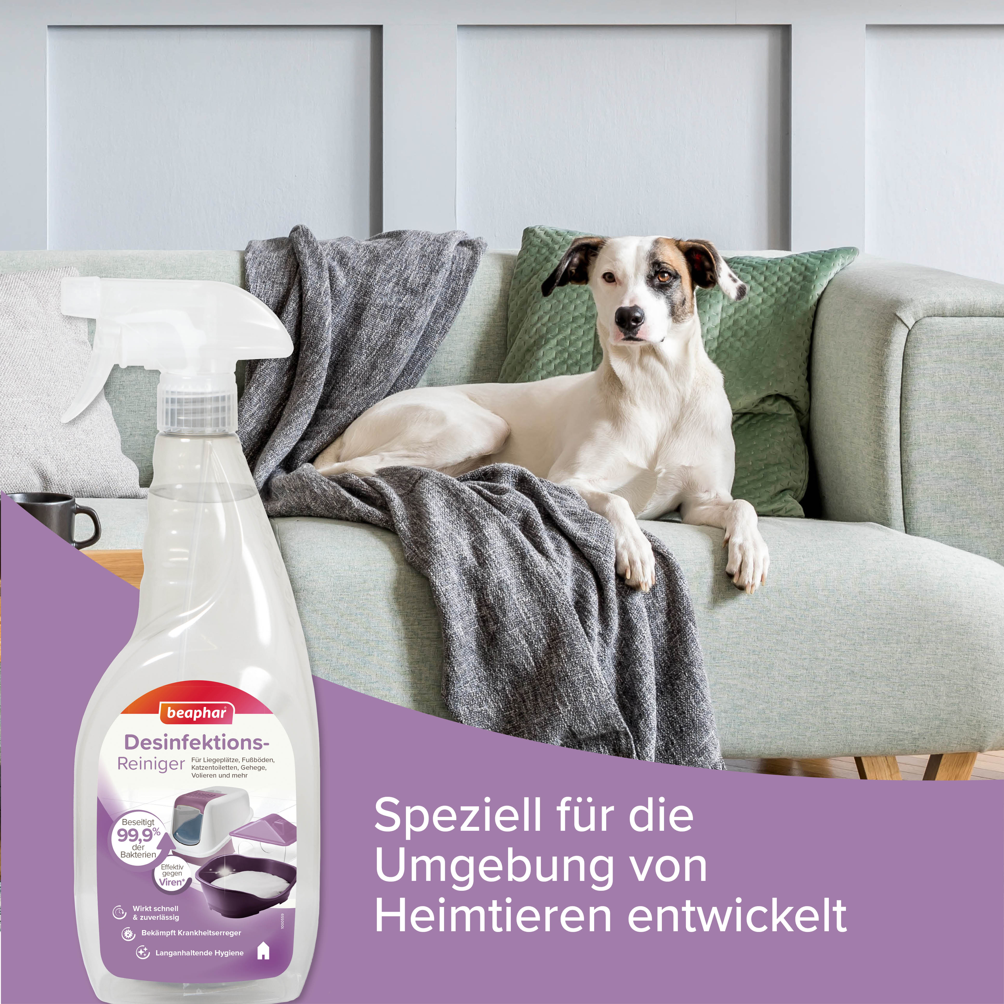 Desinfektions-Reiniger, 750ml