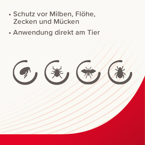 VETOplus Parasiten Schaum, 150ml