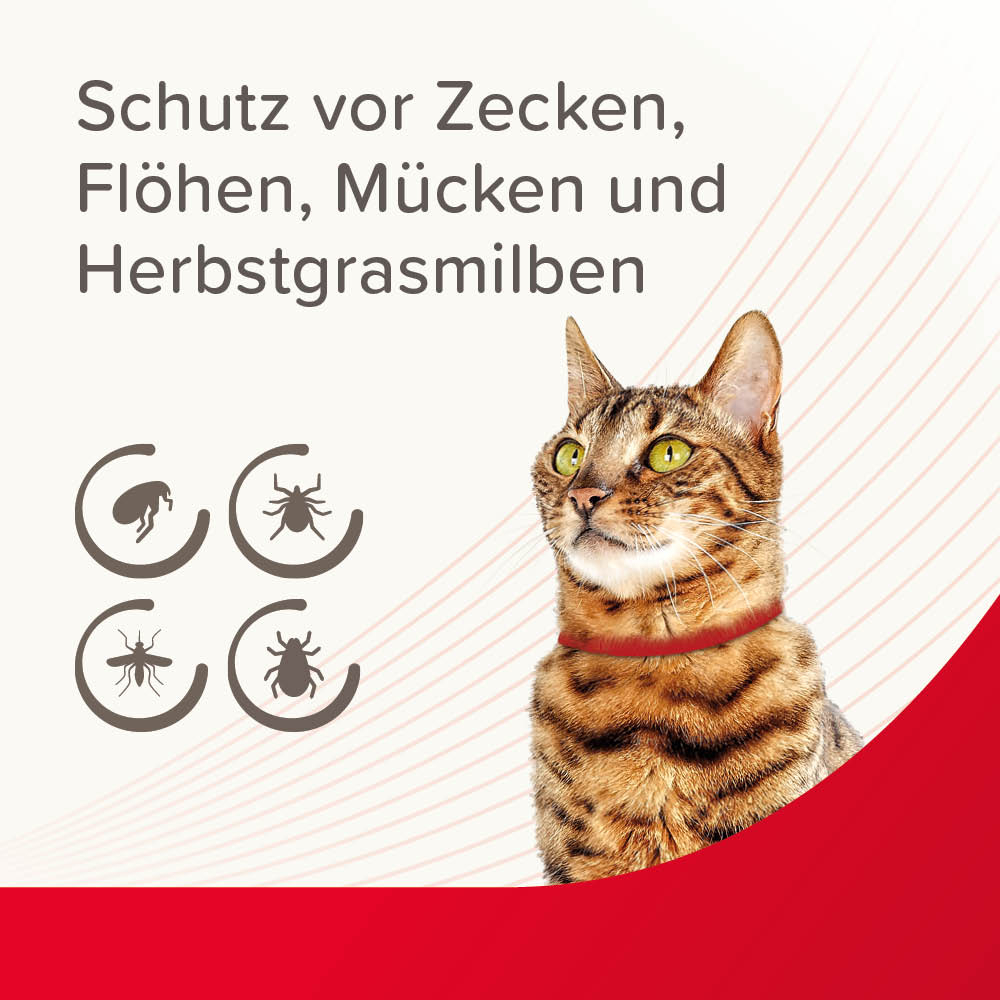 VETOplus Parasiten Halsband Rot 35cm, Katze