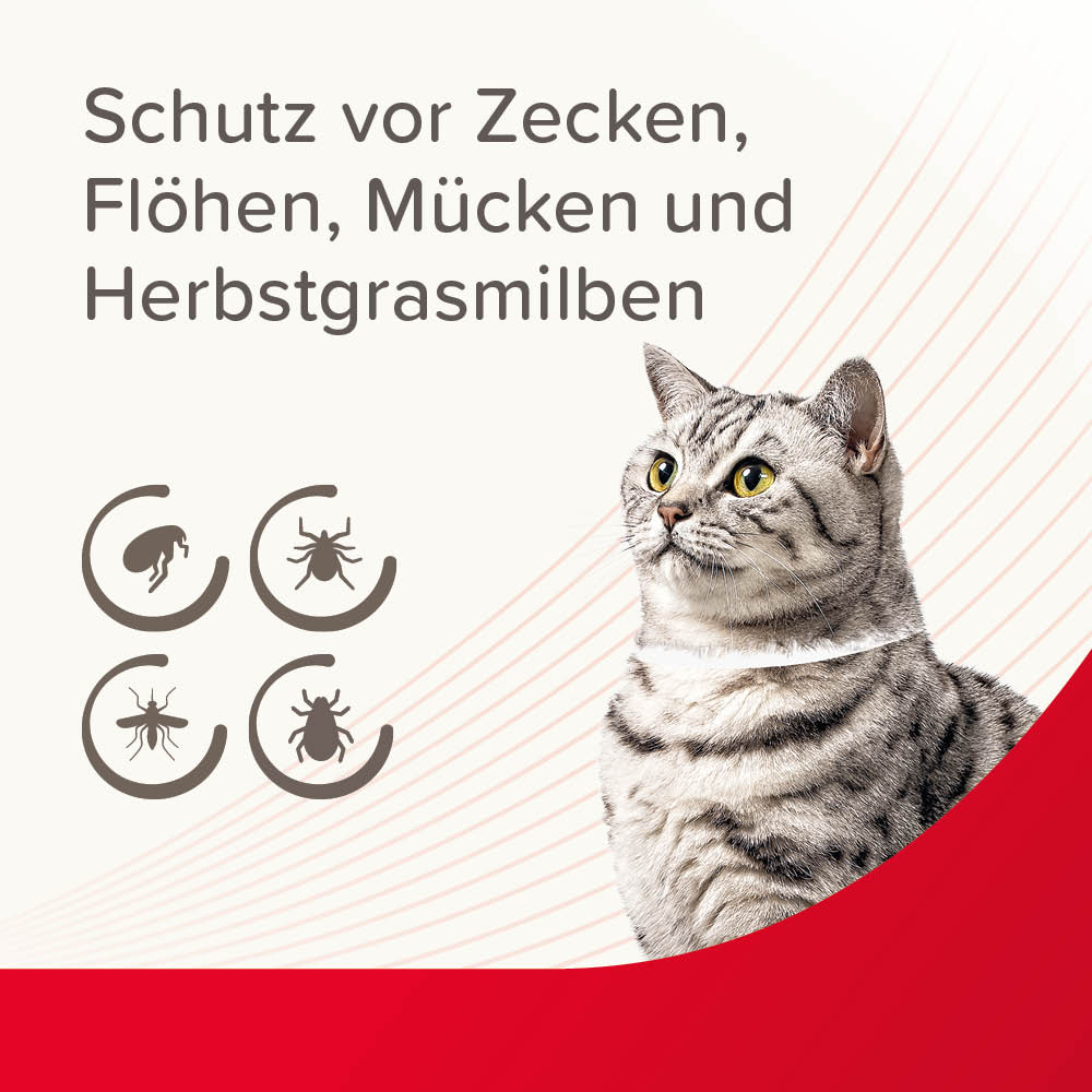 VETOplus Parasiten Halsband Weiß 35cm, Katze