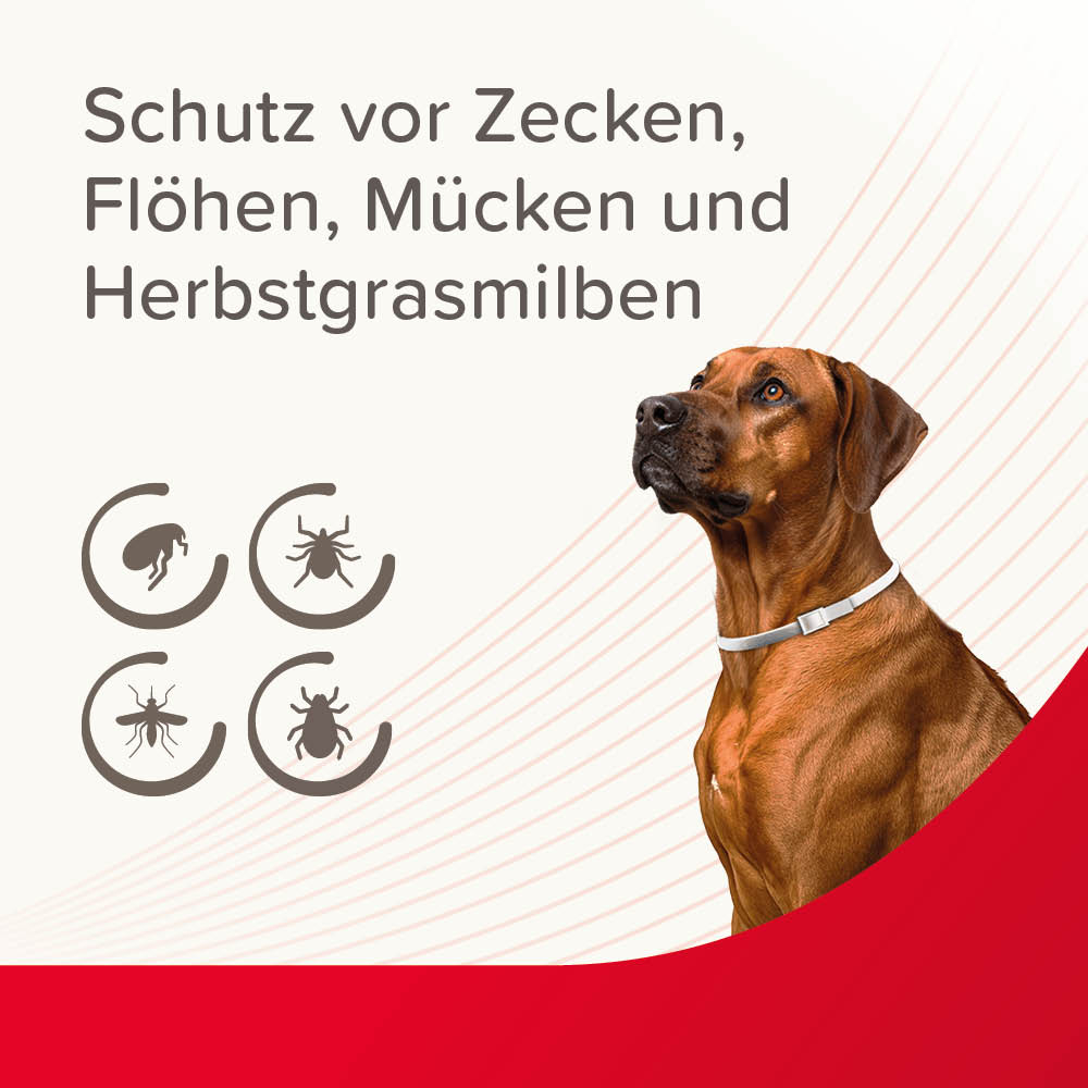 VETOplus Parasiten Halsband Weiß 65cm, Hund