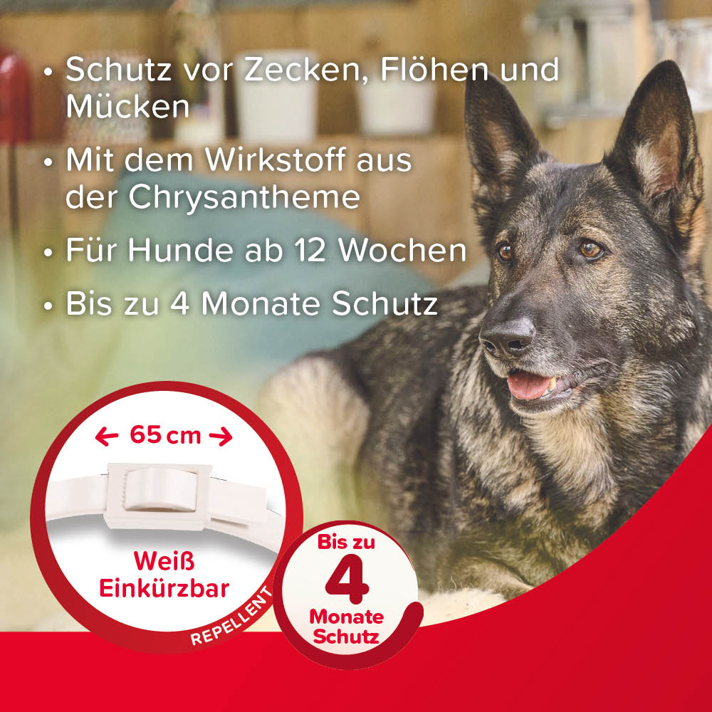VETOplus Parasiten Halsband Weiß 65cm, Hund