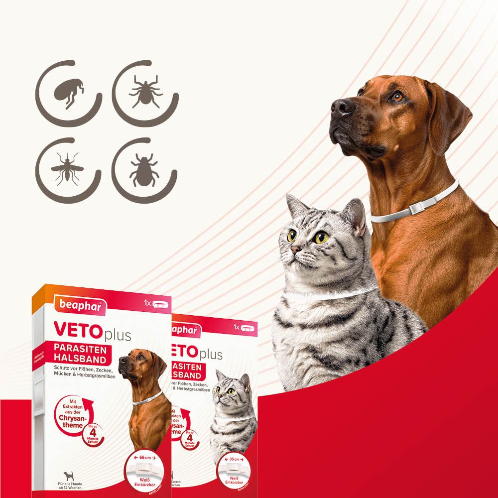 VETOplus Parasiten Halsband Weiß 65cm, Hund