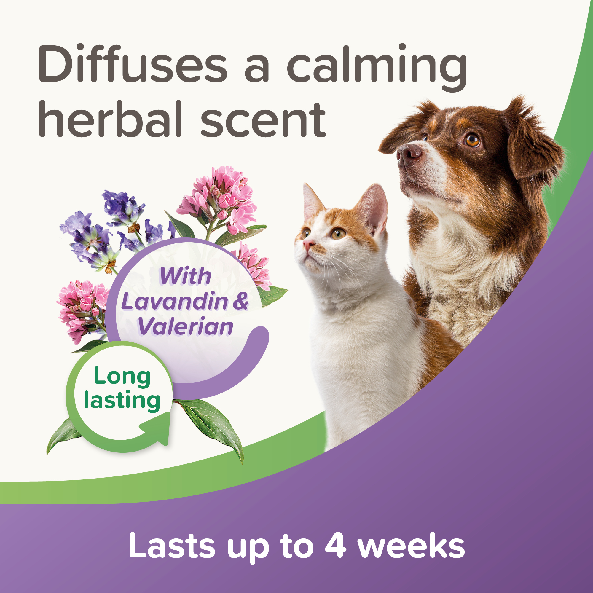Beaphar StressLess Herbal Calming Diffuser For Cats & Dogs, starter kit with 1 x plug-in and 1 x 30ml refill