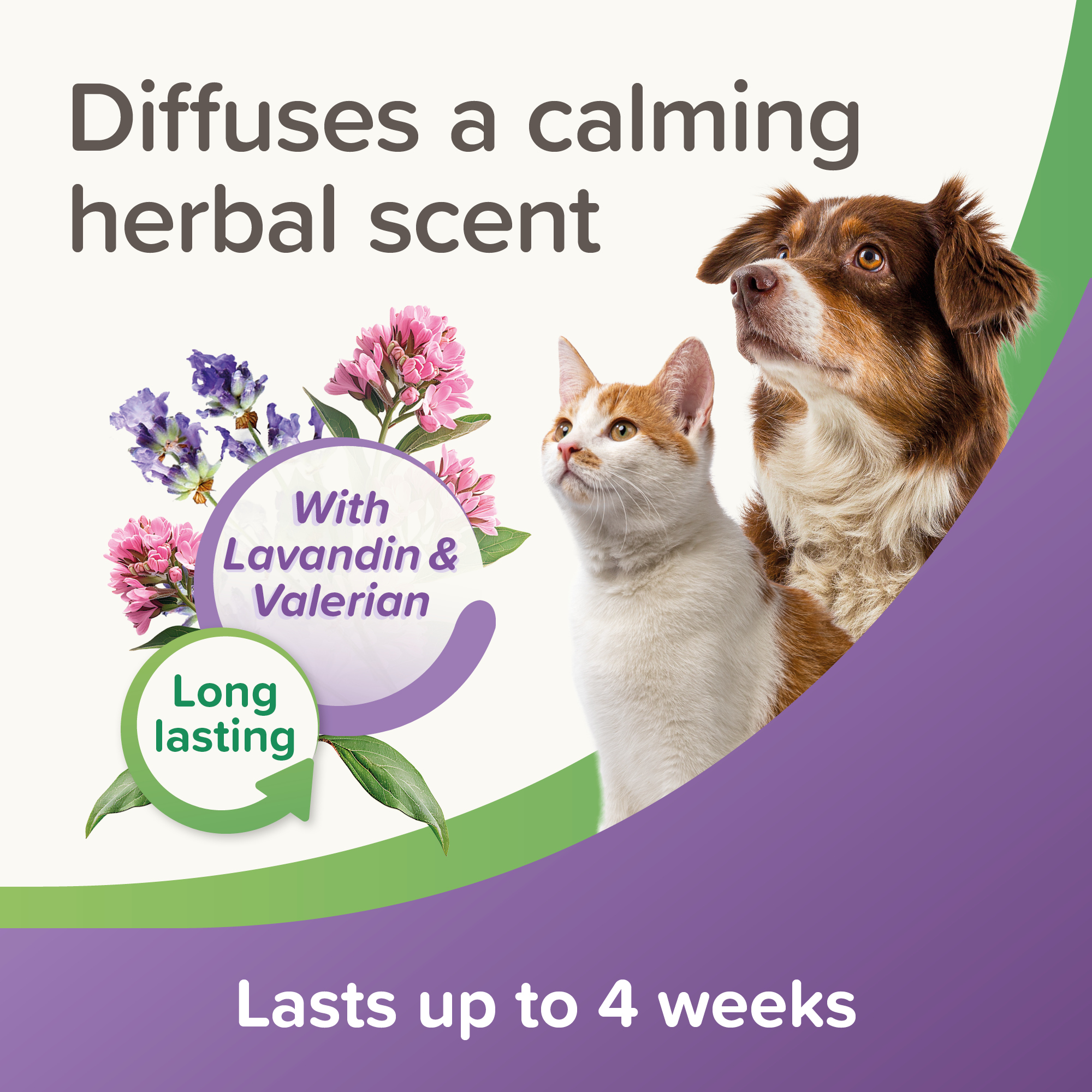 Beaphar StressLess Herbal Calming Diffuser Refill For Cats & Dogs, 30ml