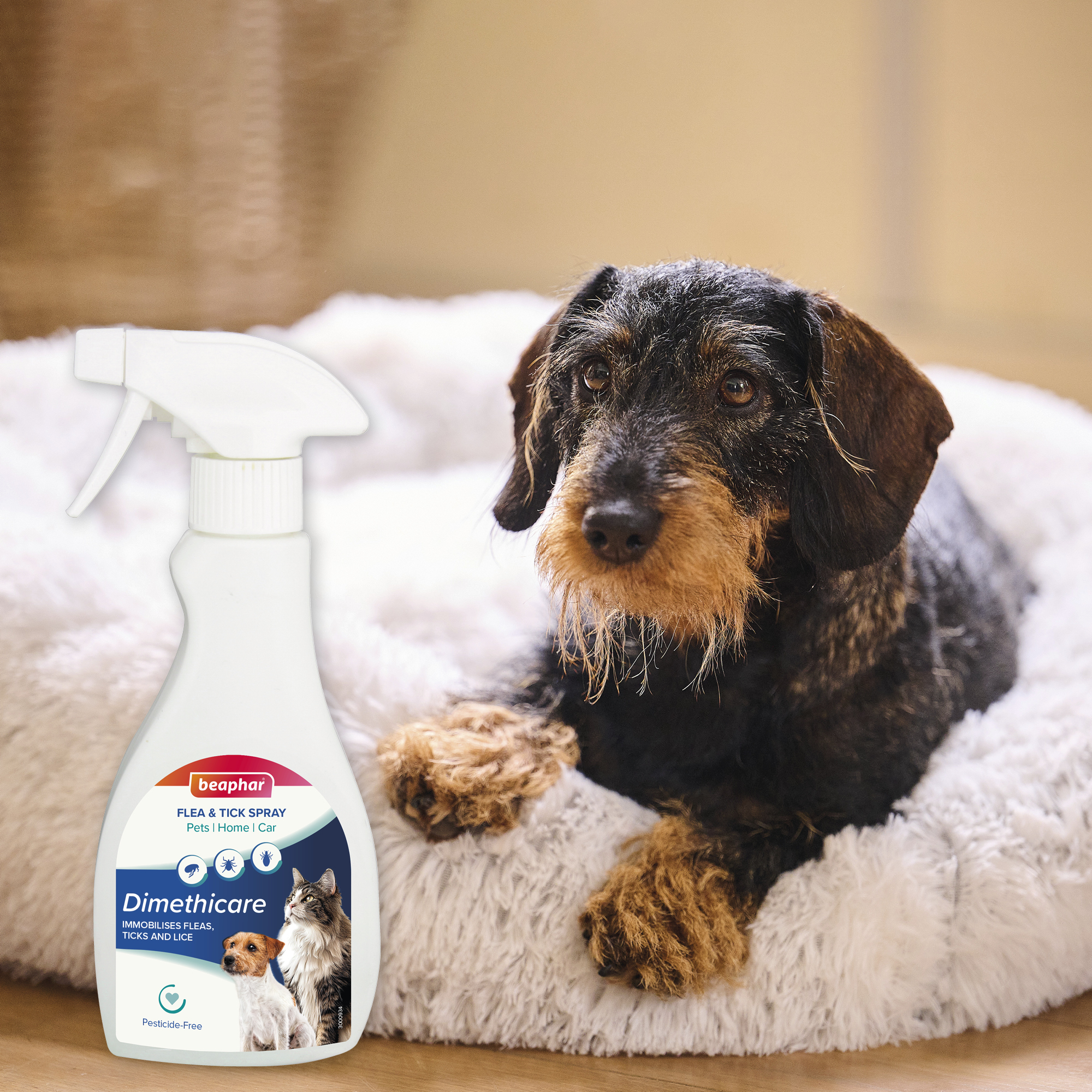 Beaphar Dimethicare Flea & Tick Spray for Pets, Home and Car, 250ml