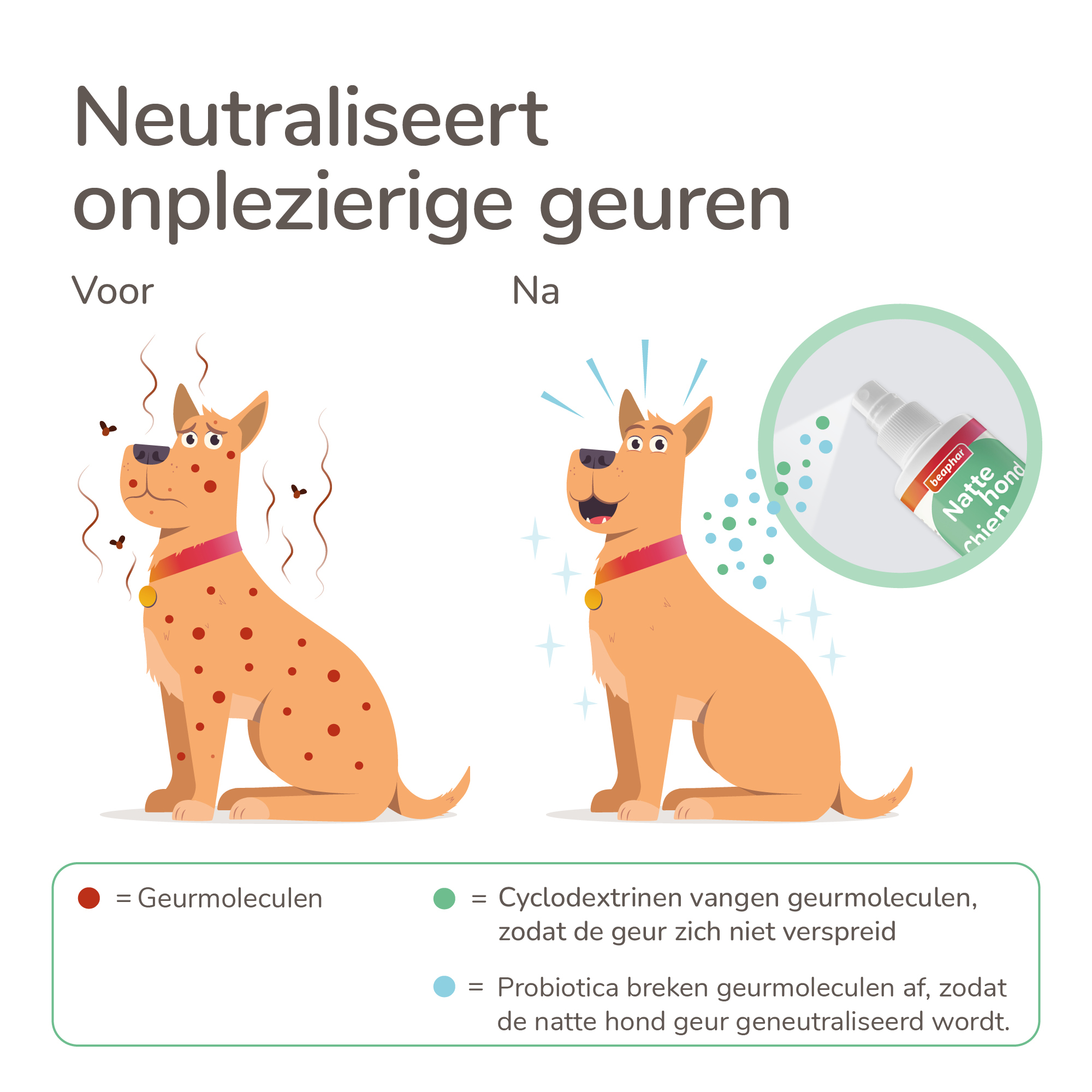 Beaphar Natte Hond Spray 250ml