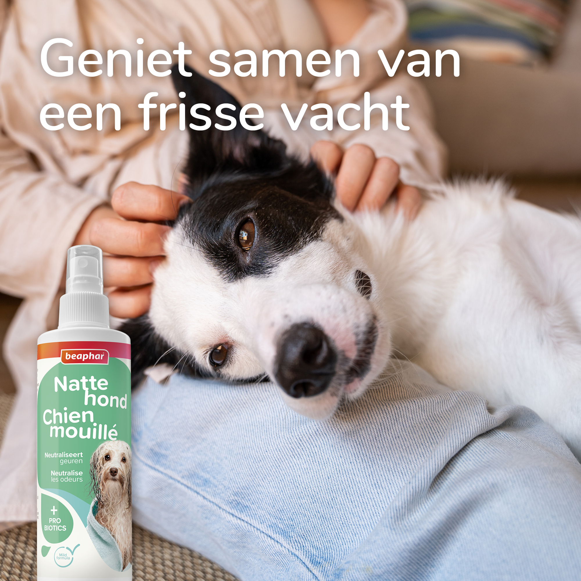 Beaphar Natte Hond Spray 250ml