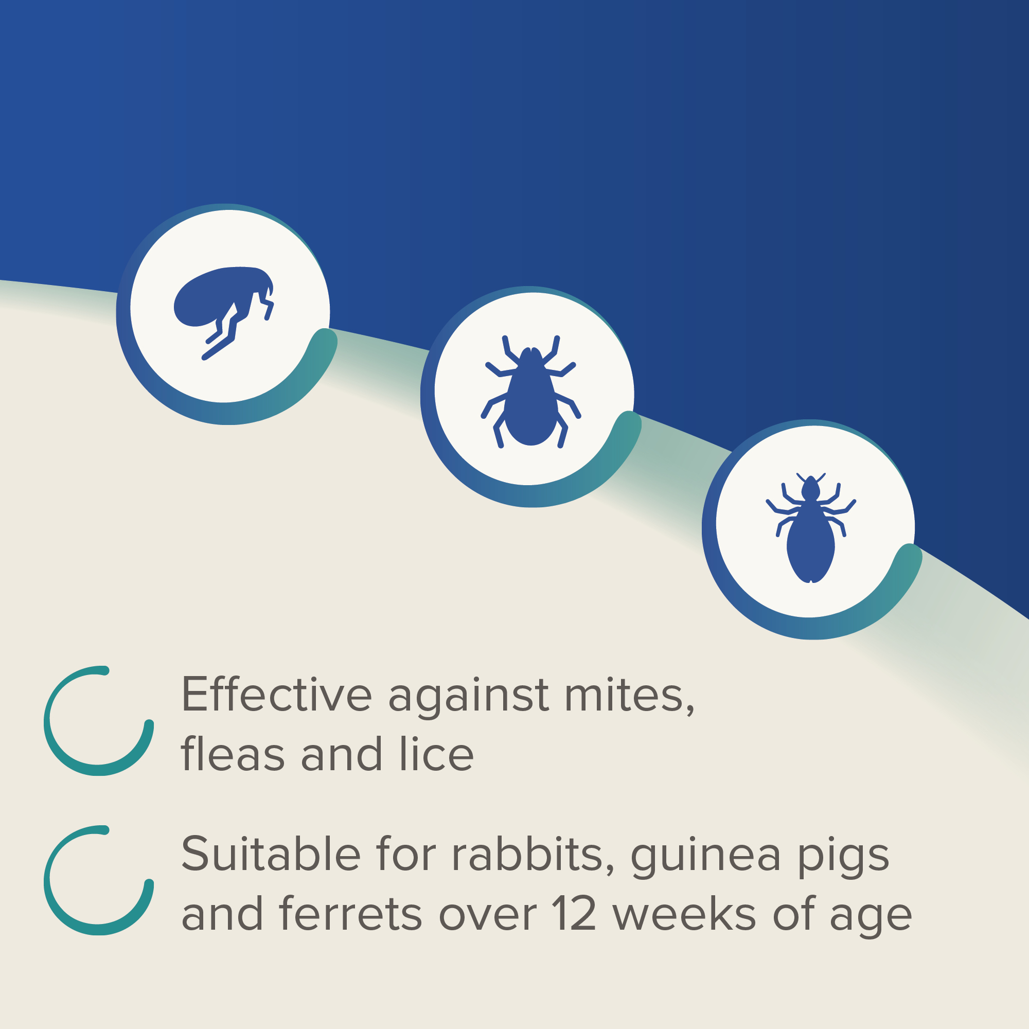 Beaphar Dimethicare Line-On Mite, Flea & Lice Control for Rabbits, Guinea Pigs & Ferrets, 3 pipettes