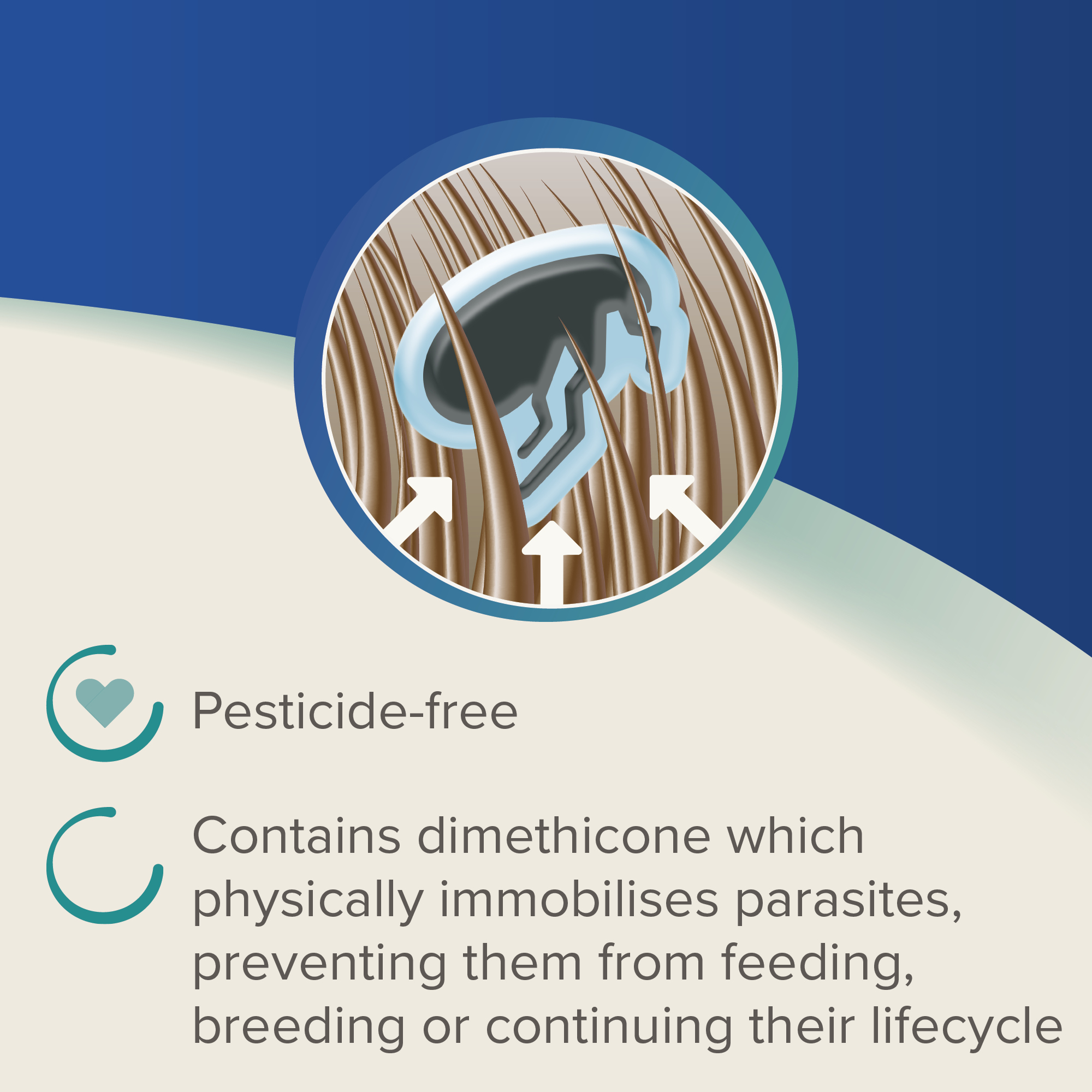 Beaphar Dimethicare Line-On Mite, Flea & Lice Control for Rabbits, Guinea Pigs & Ferrets, 3 pipettes