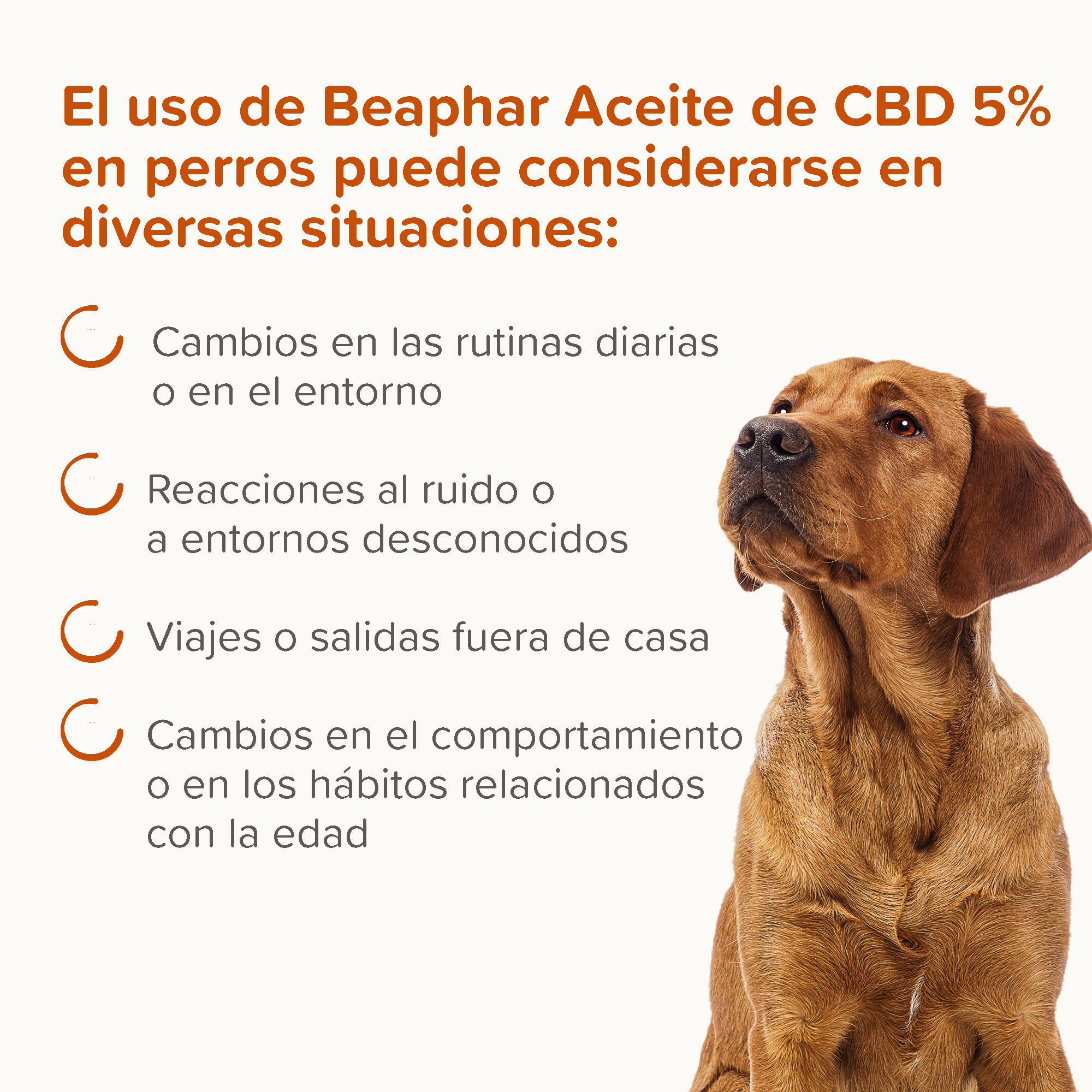 Beaphar Aceite de CBD 5% para Perros - 10 ml
