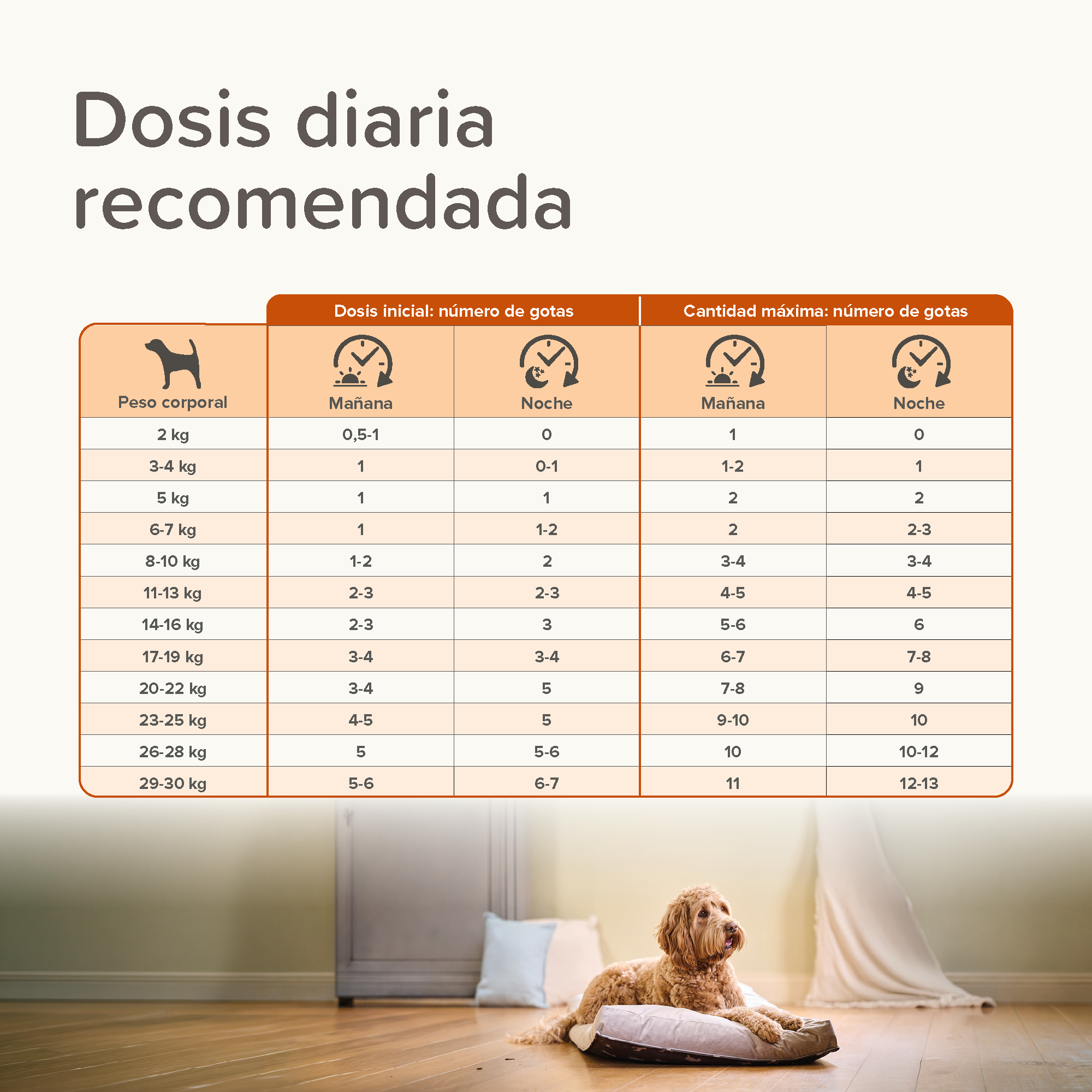 Beaphar Aceite de CBD 5% para Perros - 10 ml